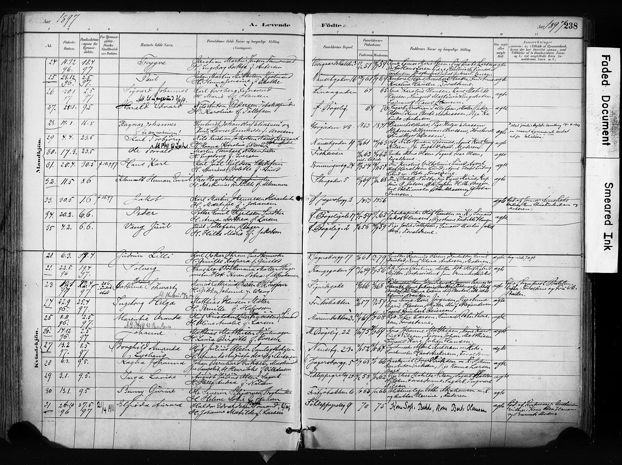 Larvik kirkebøker, AV/SAKO-A-352/F/Fa/L0009: Parish register (official) no. I 9, 1884-1904, p. 238