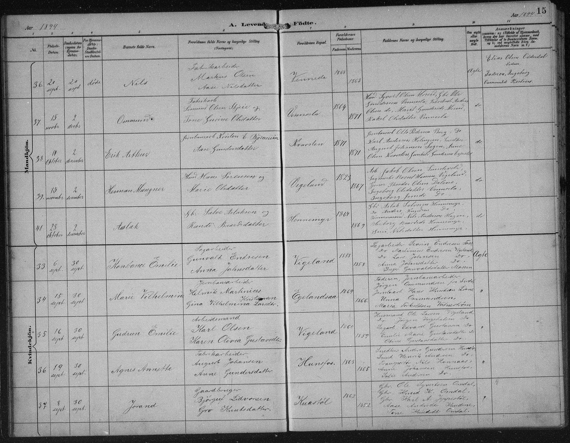 Vennesla sokneprestkontor, AV/SAK-1111-0045/Fb/Fbb/L0004: Parish register (copy) no. B 4, 1893-1902, p. 15