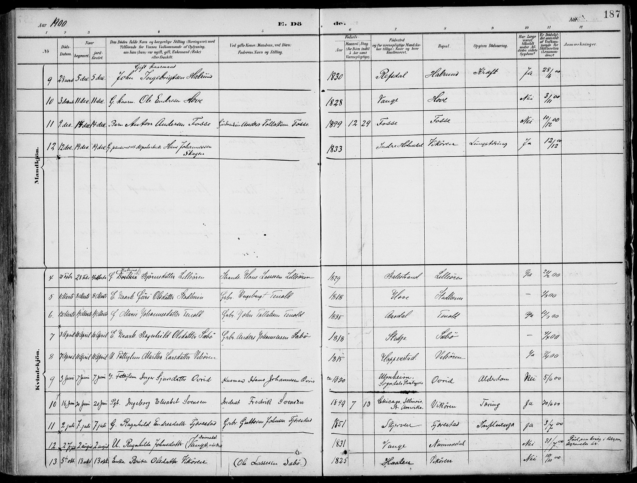 Vik sokneprestembete, AV/SAB-A-81501/H/Haa/Haab/L0002: Parish register (official) no. B  2, 1891-1907, p. 187