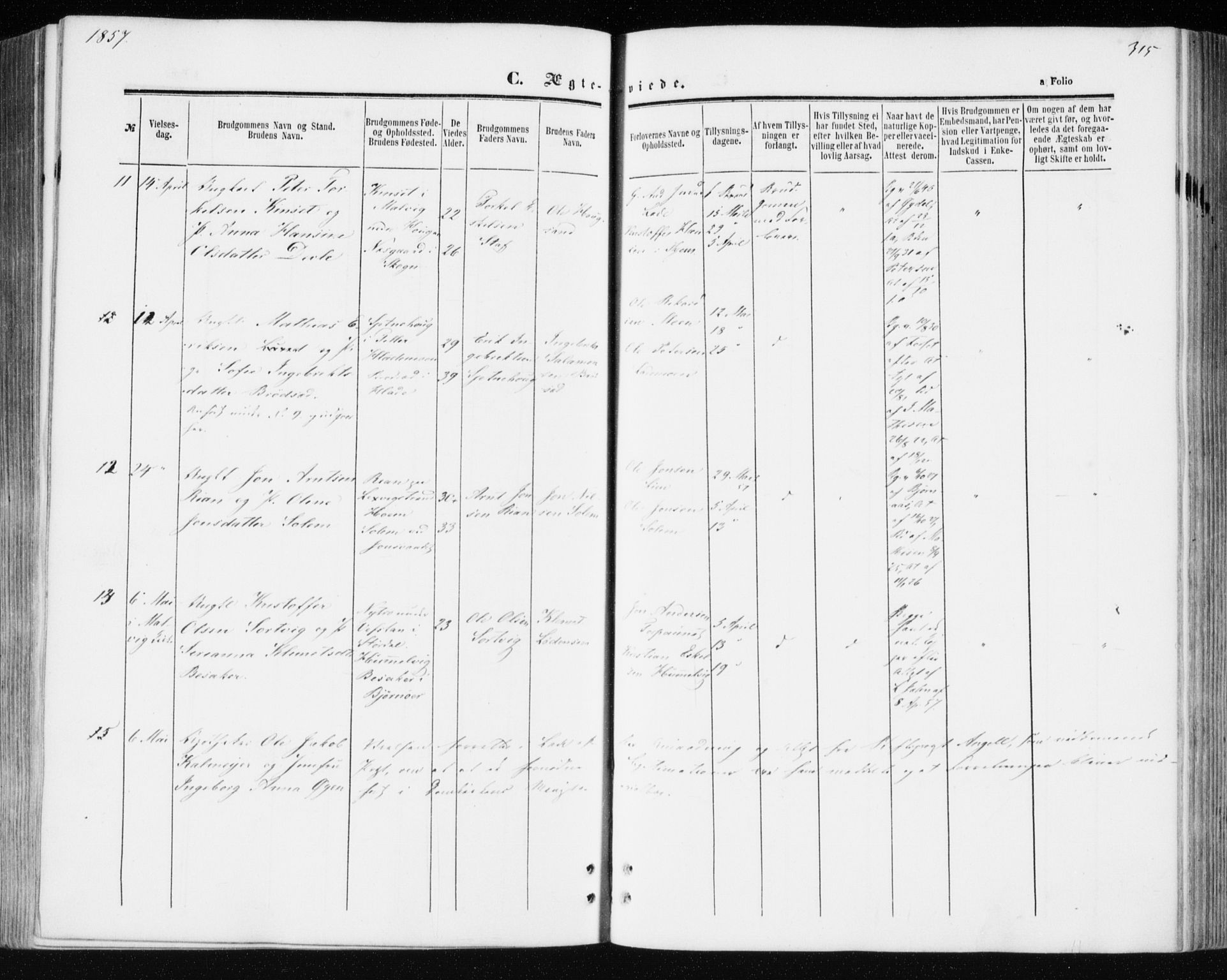 Ministerialprotokoller, klokkerbøker og fødselsregistre - Sør-Trøndelag, AV/SAT-A-1456/606/L0292: Parish register (official) no. 606A07, 1856-1865, p. 315
