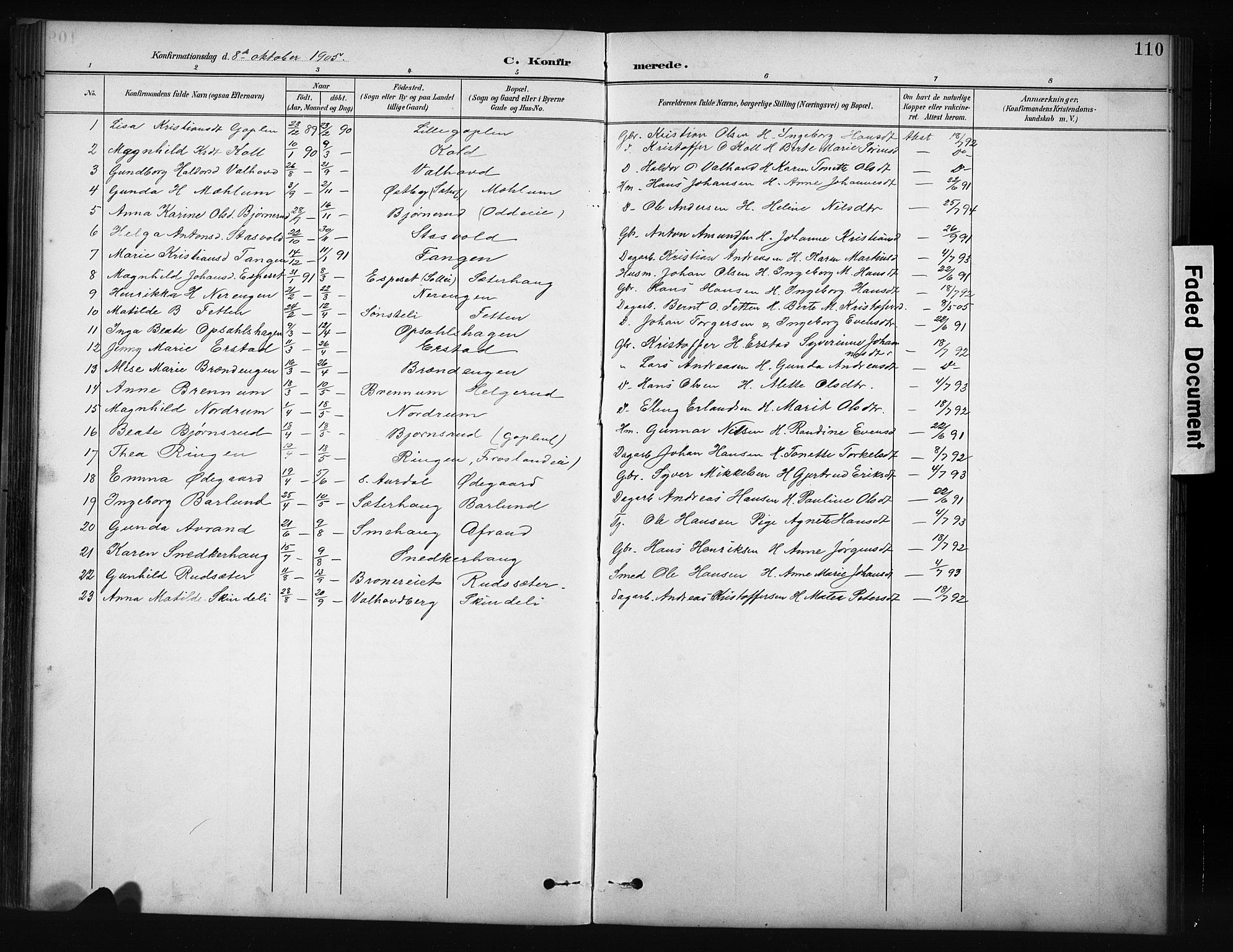 Nordre Land prestekontor, SAH/PREST-124/H/Ha/Hab/L0012: Parish register (copy) no. 12, 1891-1909, p. 110