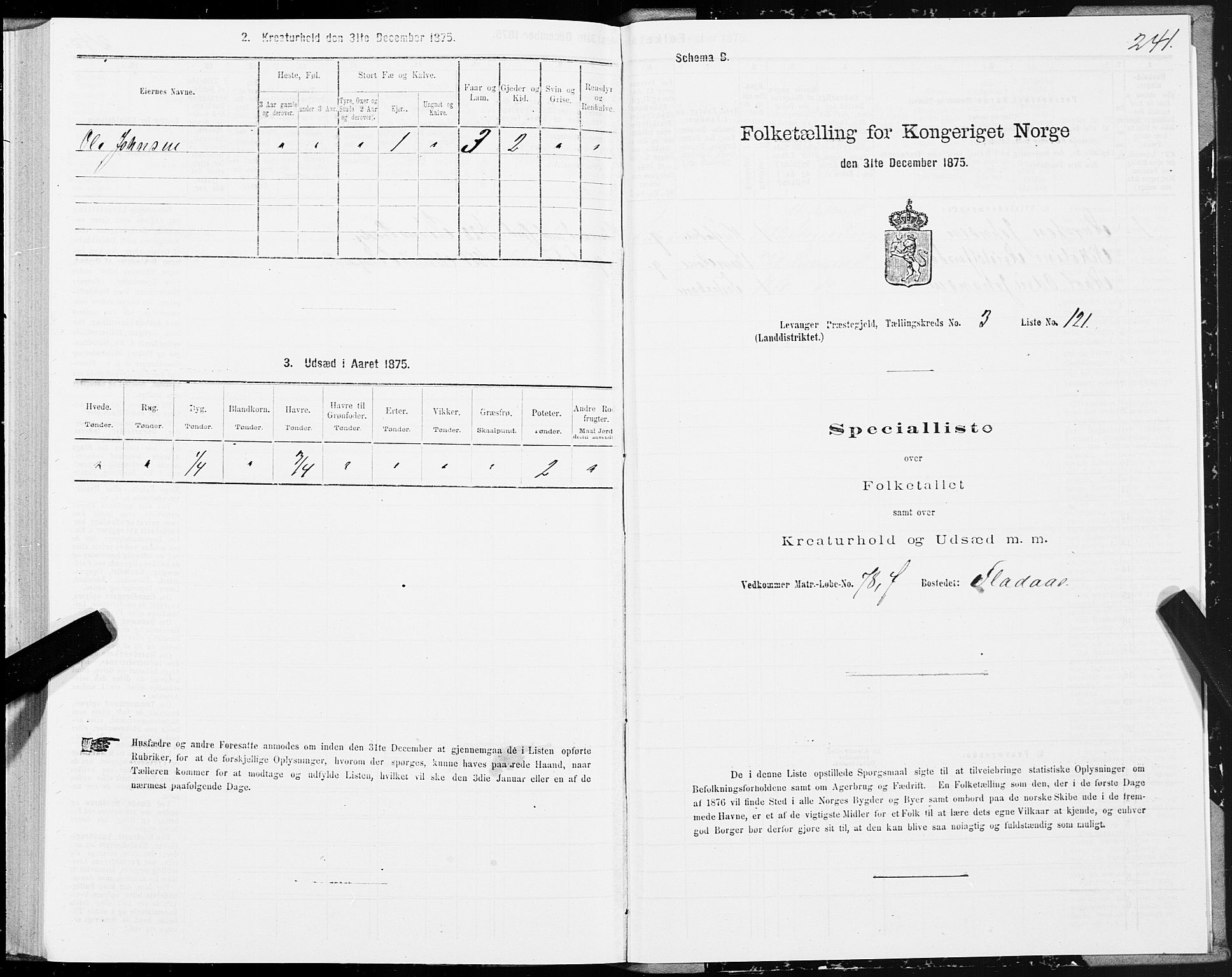 SAT, 1875 census for 1720L Levanger/Levanger, 1875, p. 2241