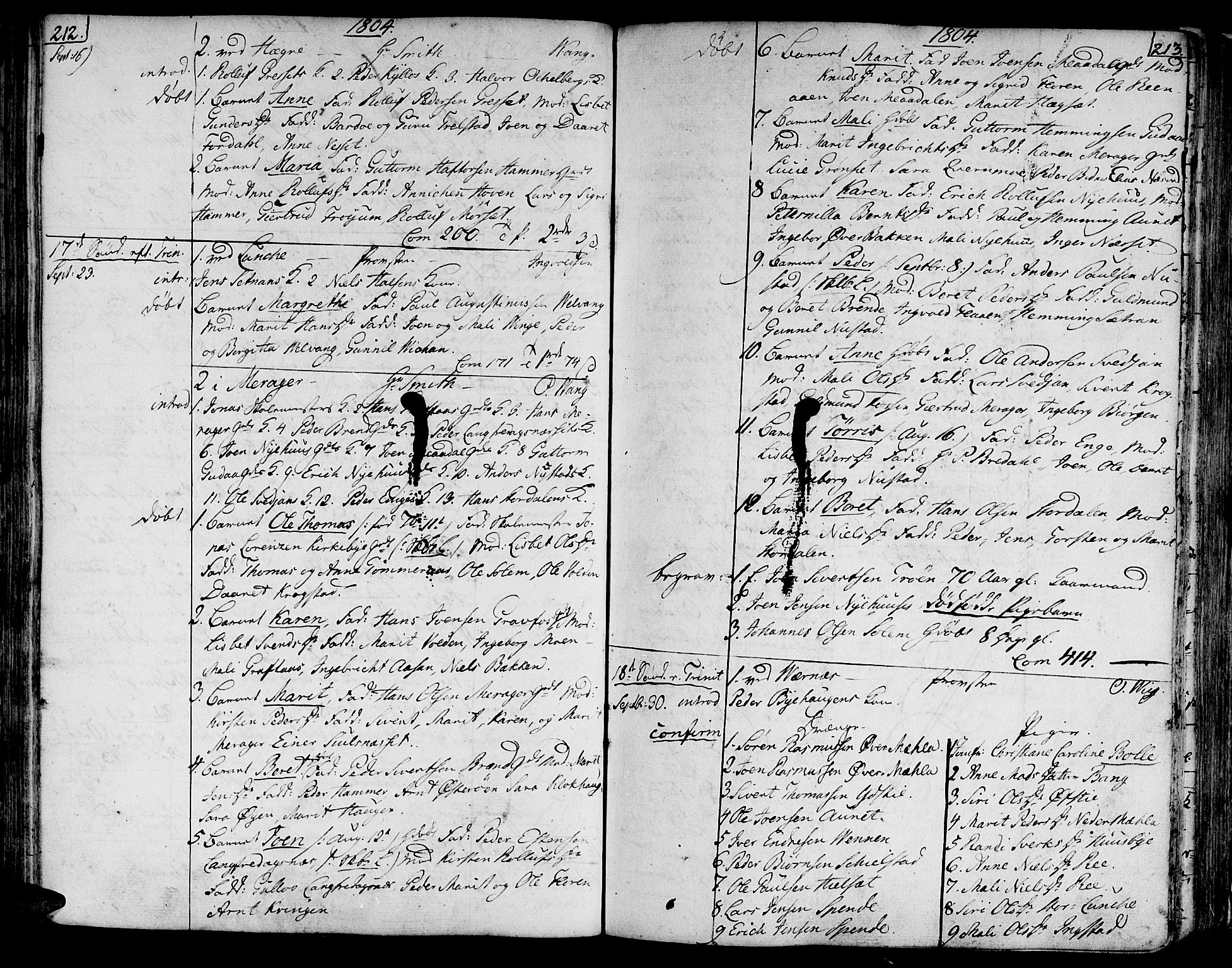 Ministerialprotokoller, klokkerbøker og fødselsregistre - Nord-Trøndelag, SAT/A-1458/709/L0060: Parish register (official) no. 709A07, 1797-1815, p. 212-213