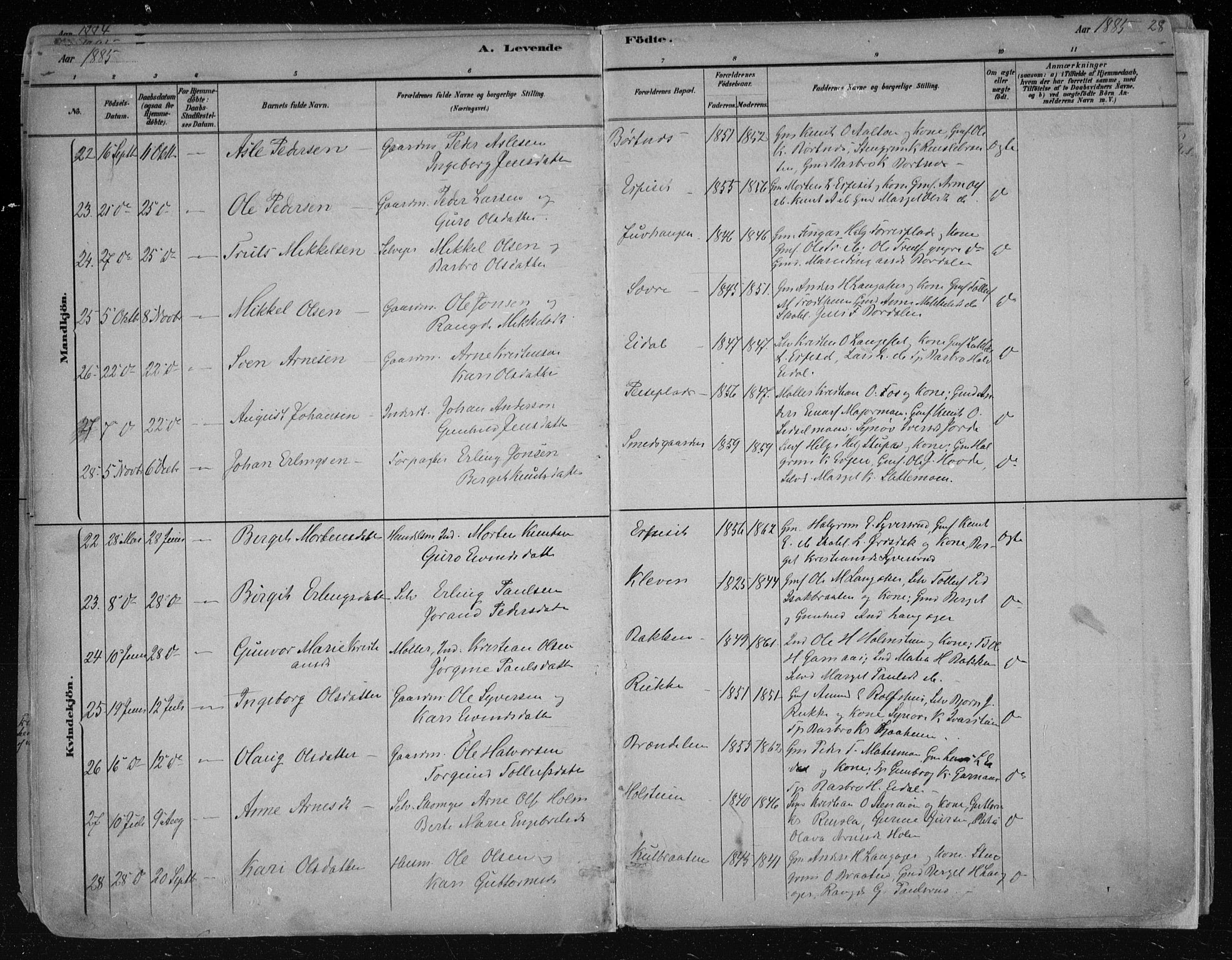 Nes kirkebøker, AV/SAKO-A-236/F/Fa/L0011: Parish register (official) no. 11, 1881-1912, p. 28