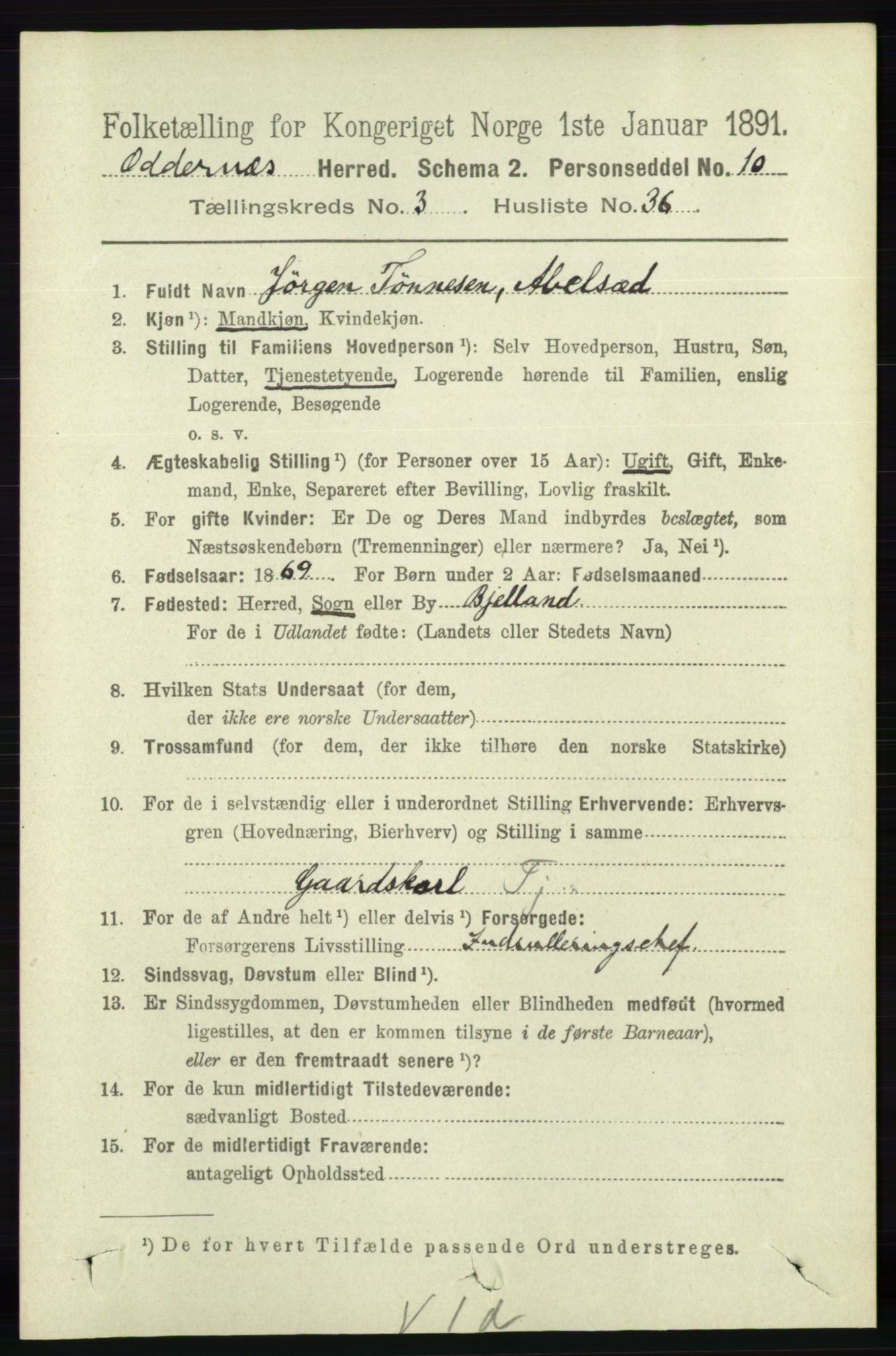RA, 1891 census for 1012 Oddernes, 1891, p. 1011