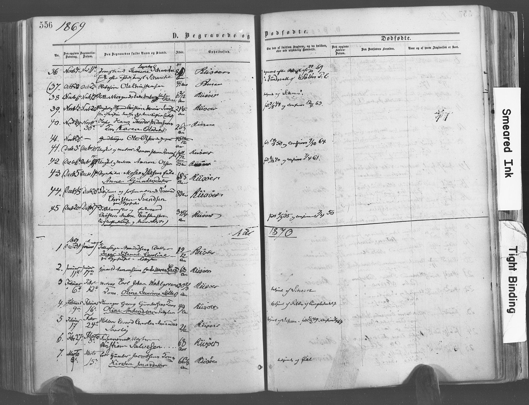 Risør sokneprestkontor, SAK/1111-0035/F/Fa/L0004: Parish register (official) no. A 4, 1865-1882, p. 556