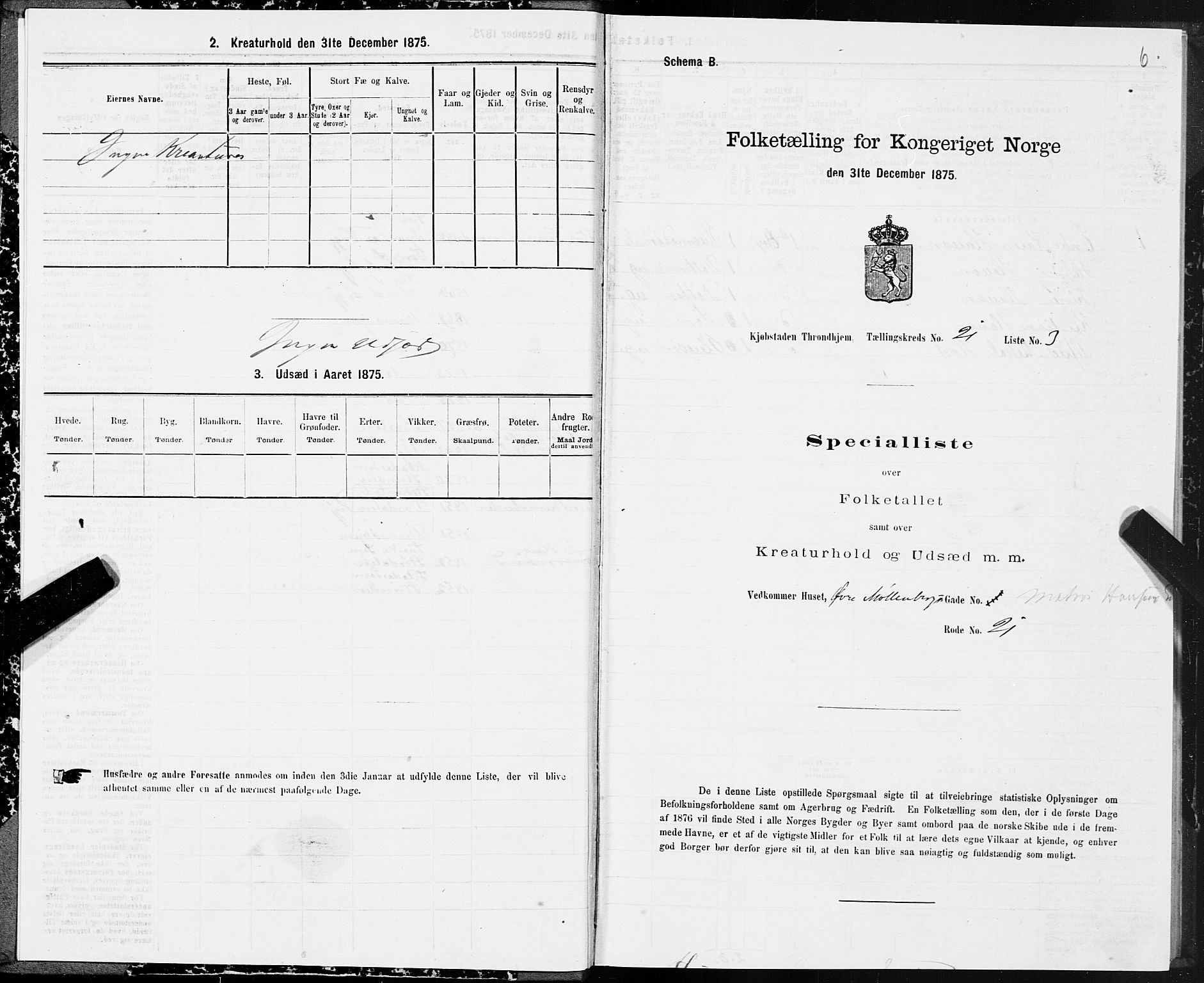 SAT, 1875 census for 1601 Trondheim, 1875, p. 11006