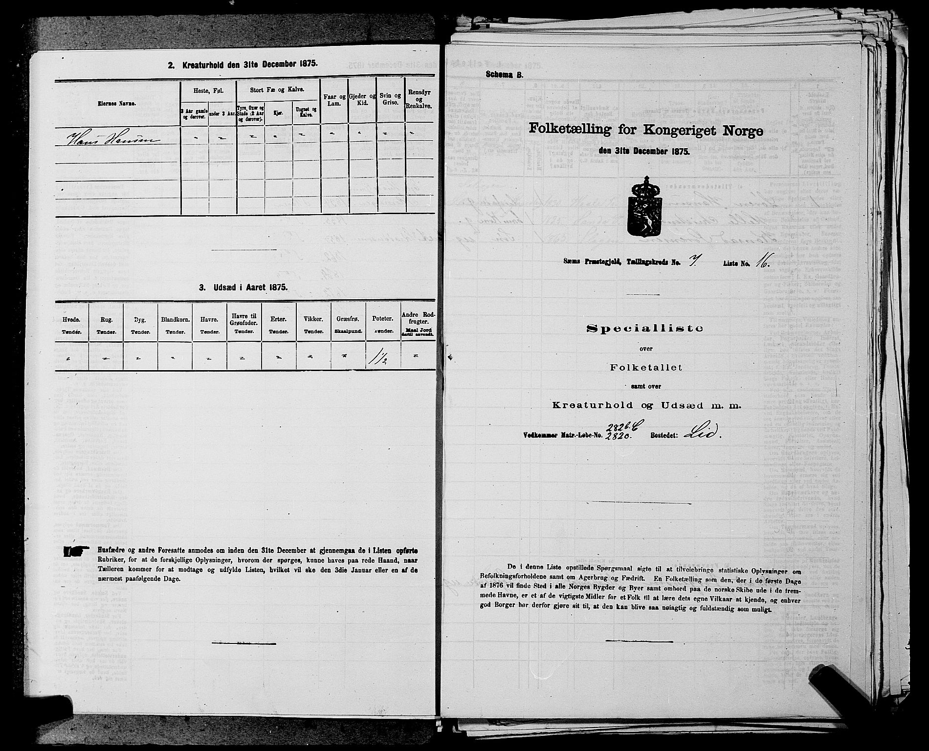 SAKO, 1875 census for 0721P Sem, 1875, p. 1161