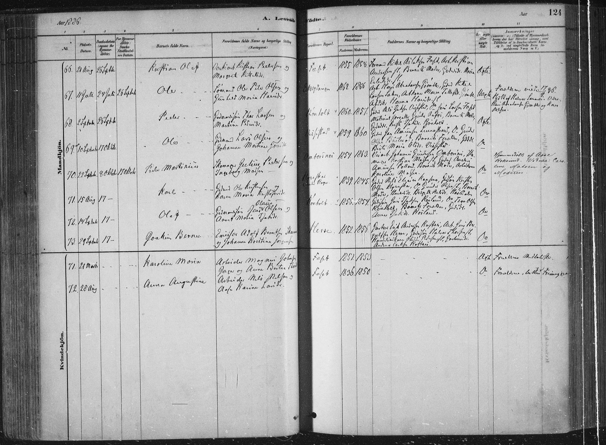 Bamble kirkebøker, AV/SAKO-A-253/F/Fa/L0007: Parish register (official) no. I 7, 1878-1888, p. 124