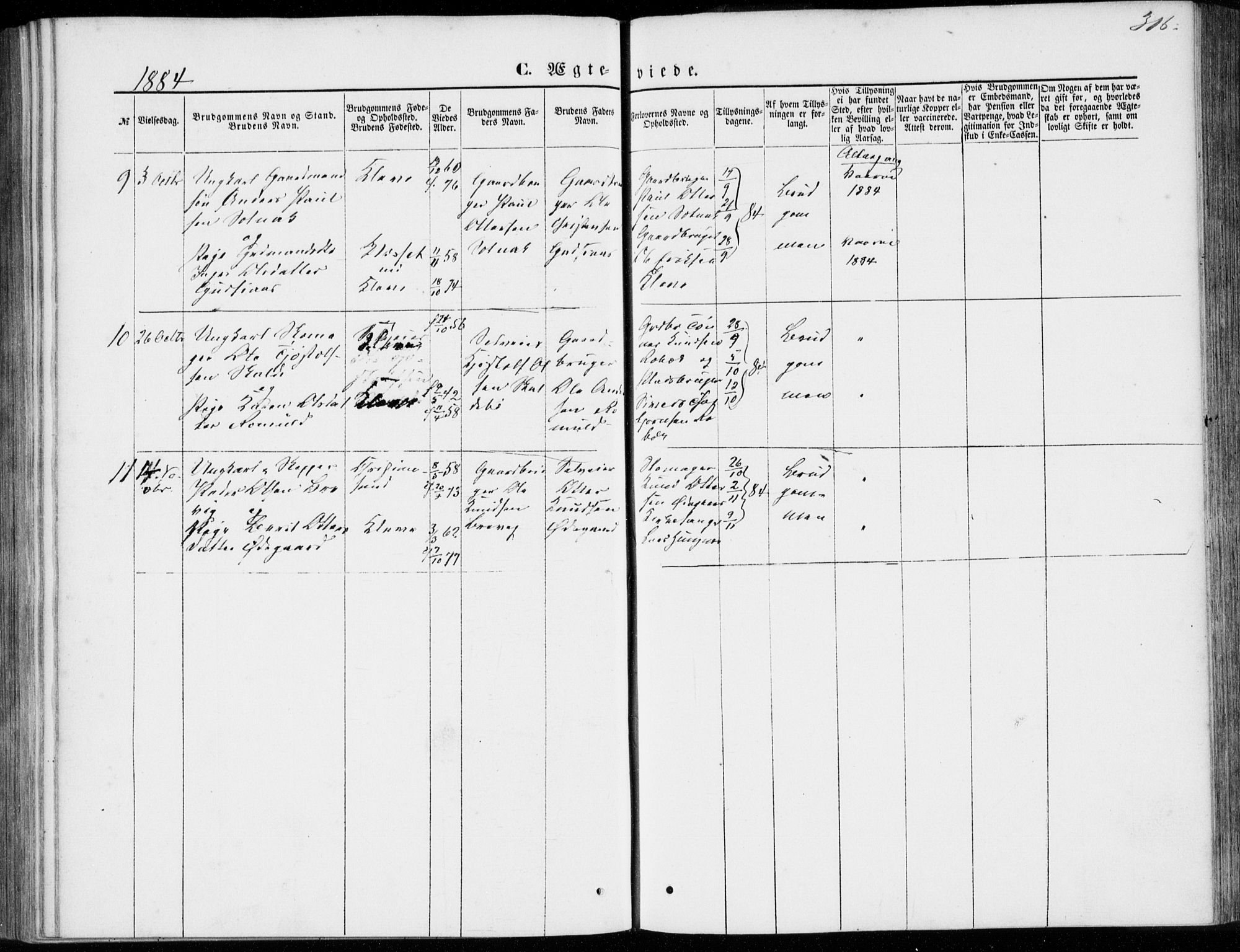 Ministerialprotokoller, klokkerbøker og fødselsregistre - Møre og Romsdal, AV/SAT-A-1454/557/L0681: Parish register (official) no. 557A03, 1869-1886, p. 316