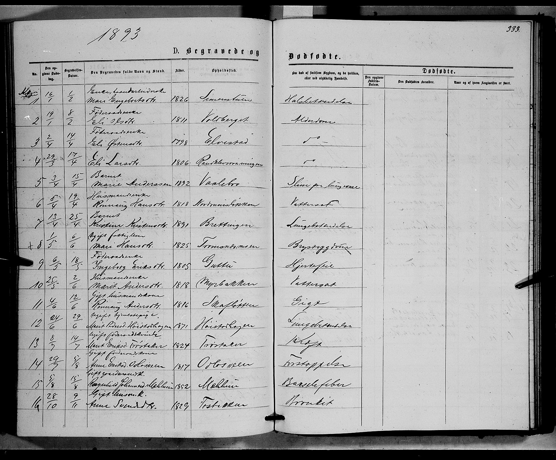 Ringebu prestekontor, SAH/PREST-082/H/Ha/Hab/L0006: Parish register (copy) no. 6, 1880-1898, p. 333