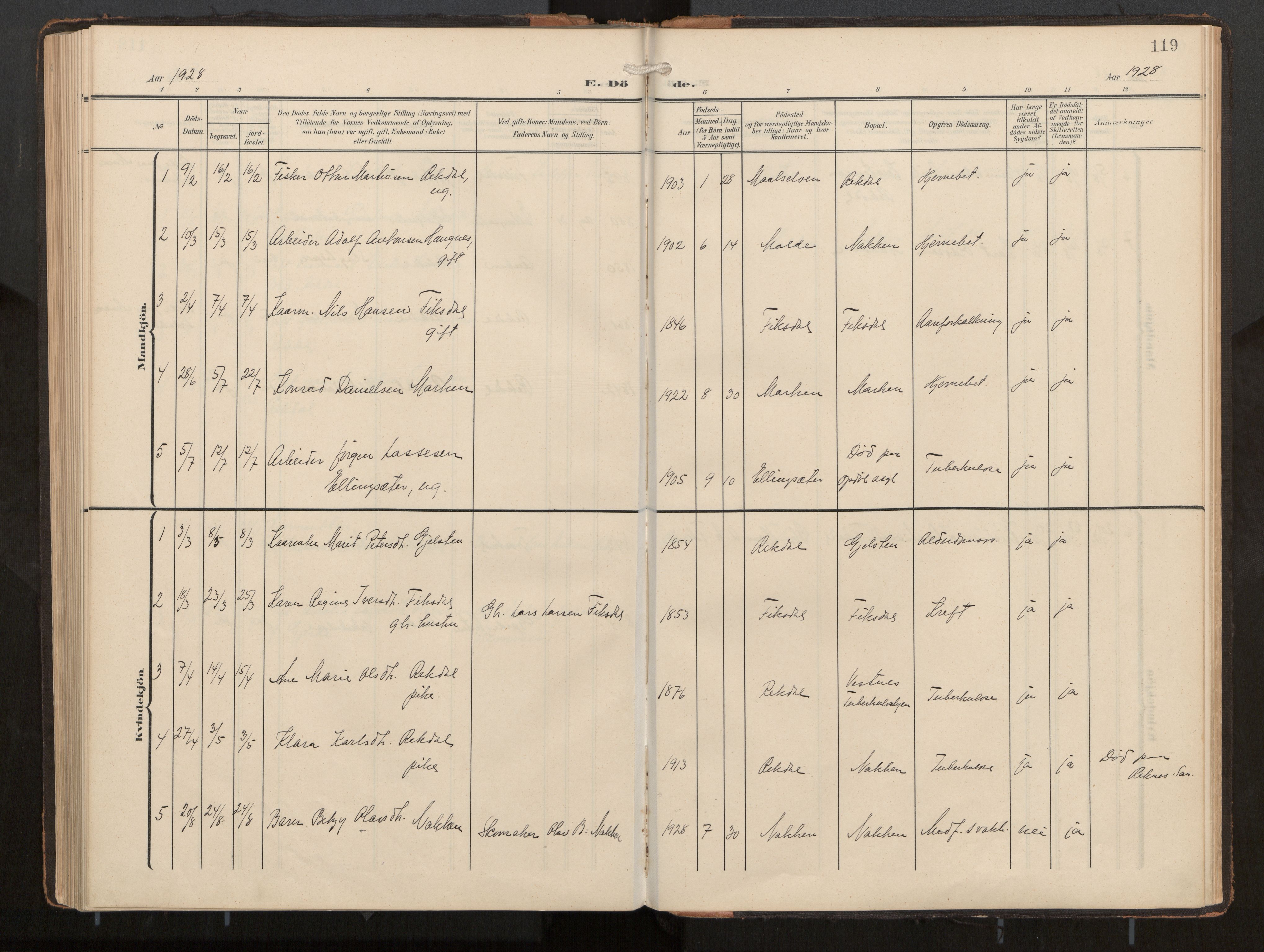 Ministerialprotokoller, klokkerbøker og fødselsregistre - Møre og Romsdal, AV/SAT-A-1454/540/L0540b: Parish register (official) no. 540A03, 1909-1932, p. 119