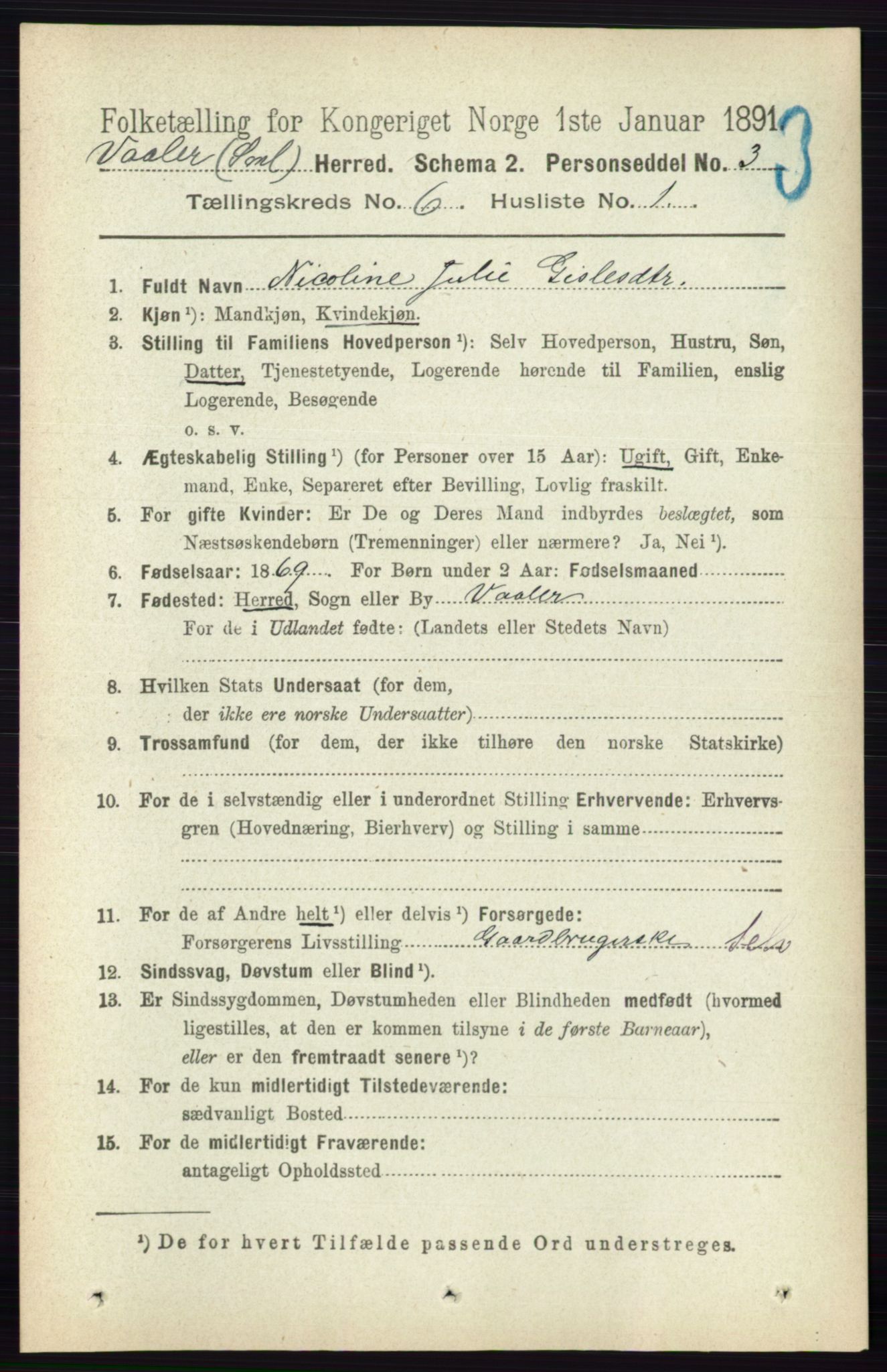 RA, 1891 census for 0137 Våler, 1891, p. 2337