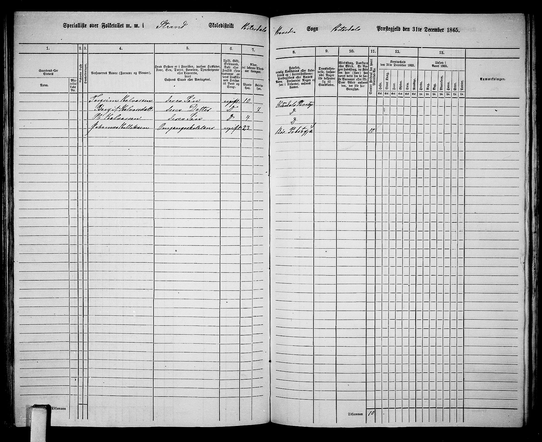 RA, 1865 census for Heddal, 1865, p. 106
