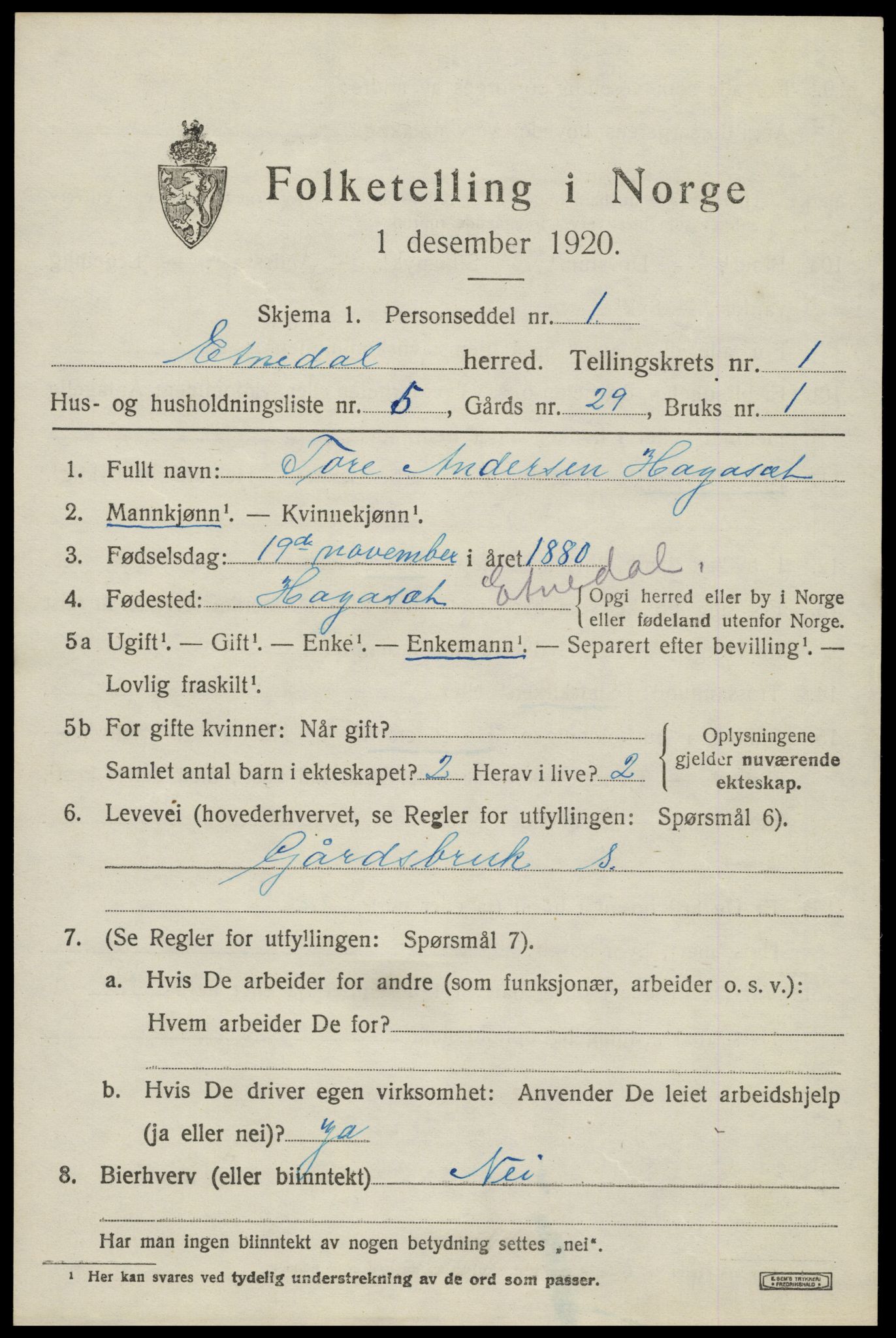 SAH, 1920 census for Etnedal, 1920, p. 812