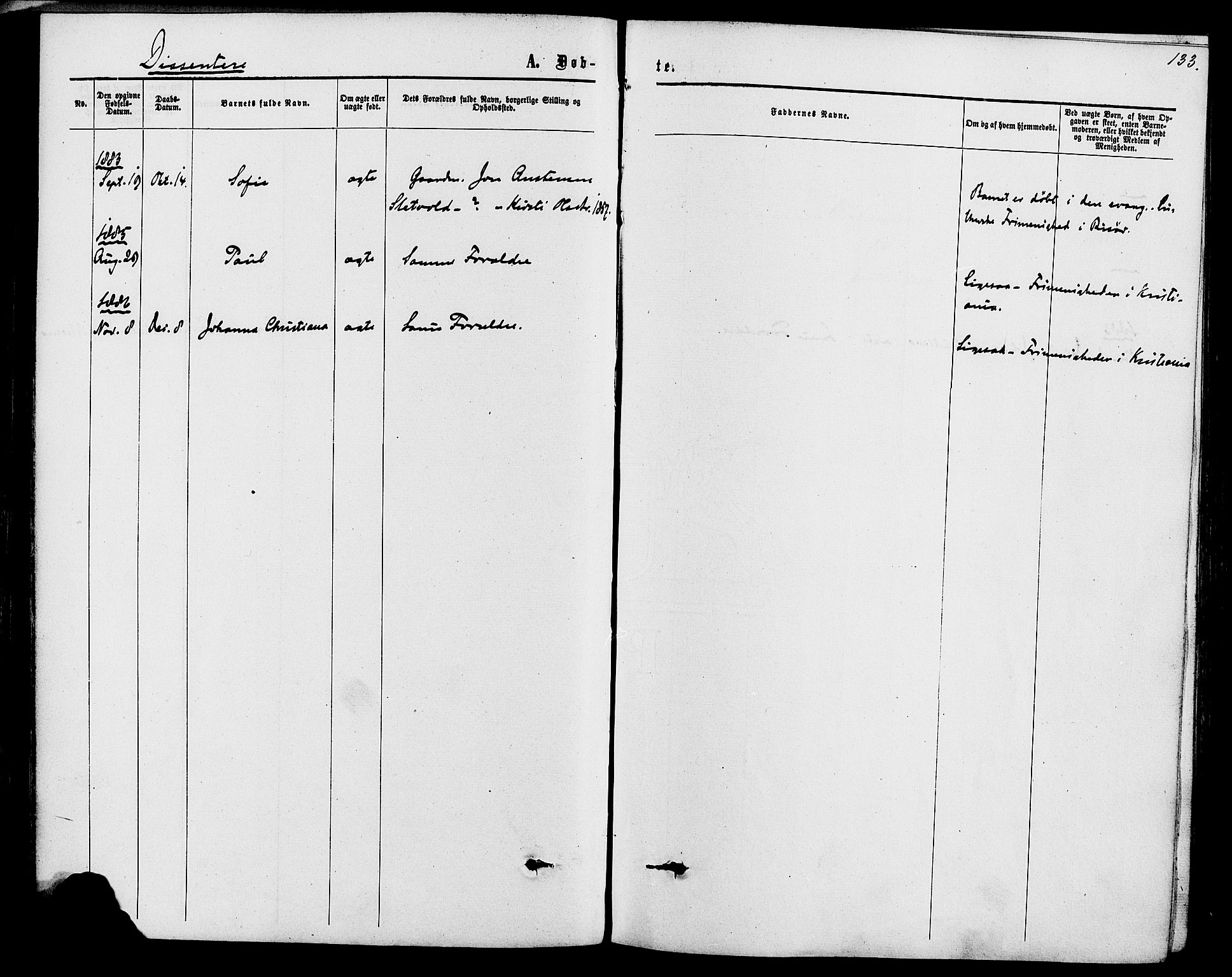 Romedal prestekontor, SAH/PREST-004/K/L0006: Parish register (official) no. 6, 1866-1886, p. 133