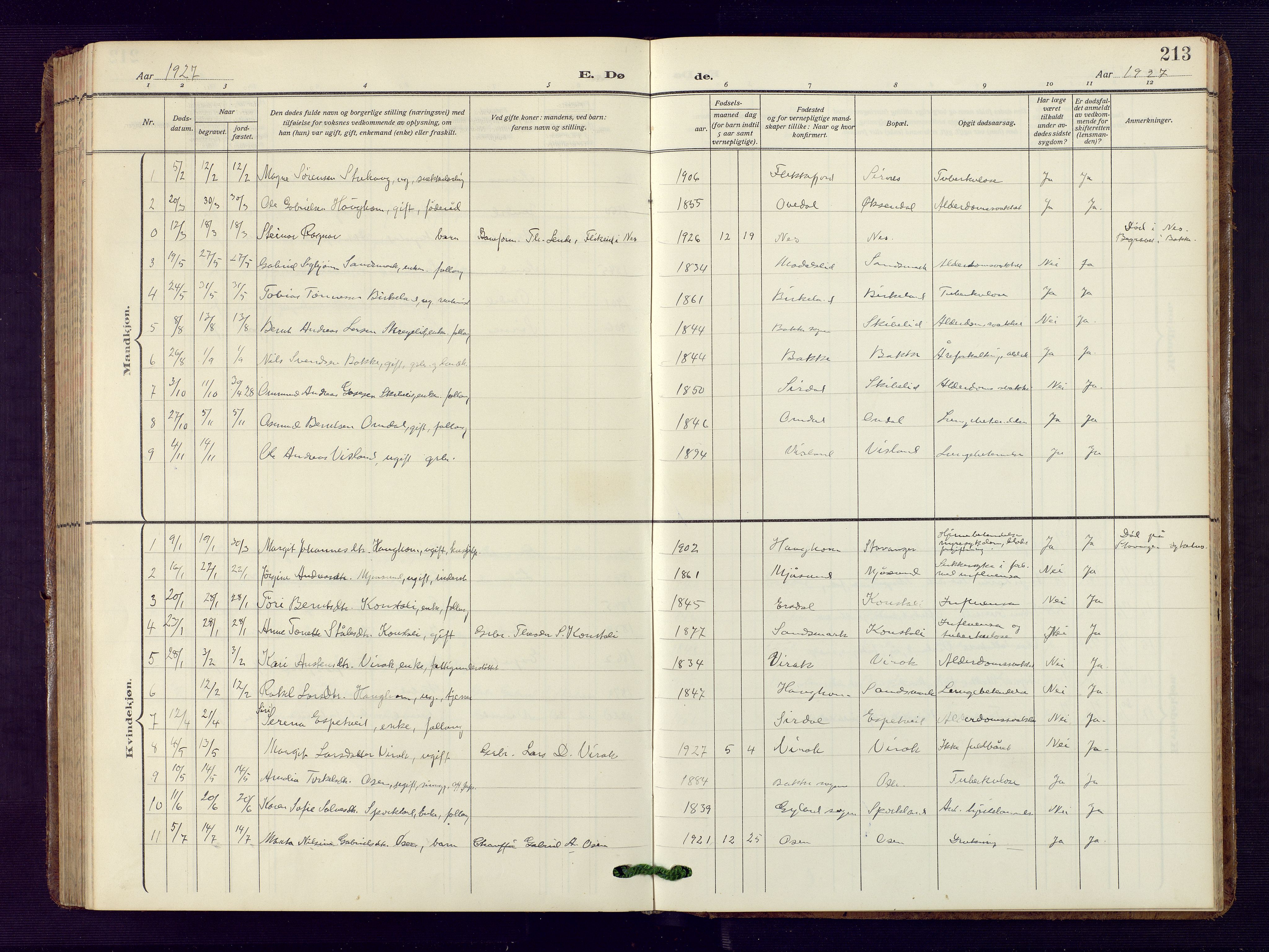 Bakke sokneprestkontor, SAK/1111-0002/F/Fb/Fba/L0004: Parish register (copy) no. B 4, 1911-1946, p. 213