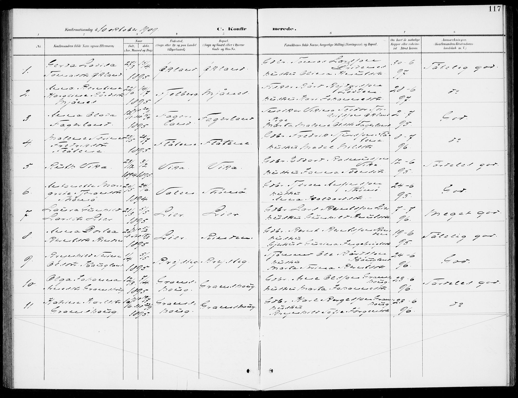 Sveio Sokneprestembete, AV/SAB-A-78501/H/Haa: Parish register (official) no. C 3, 1899-1916, p. 117