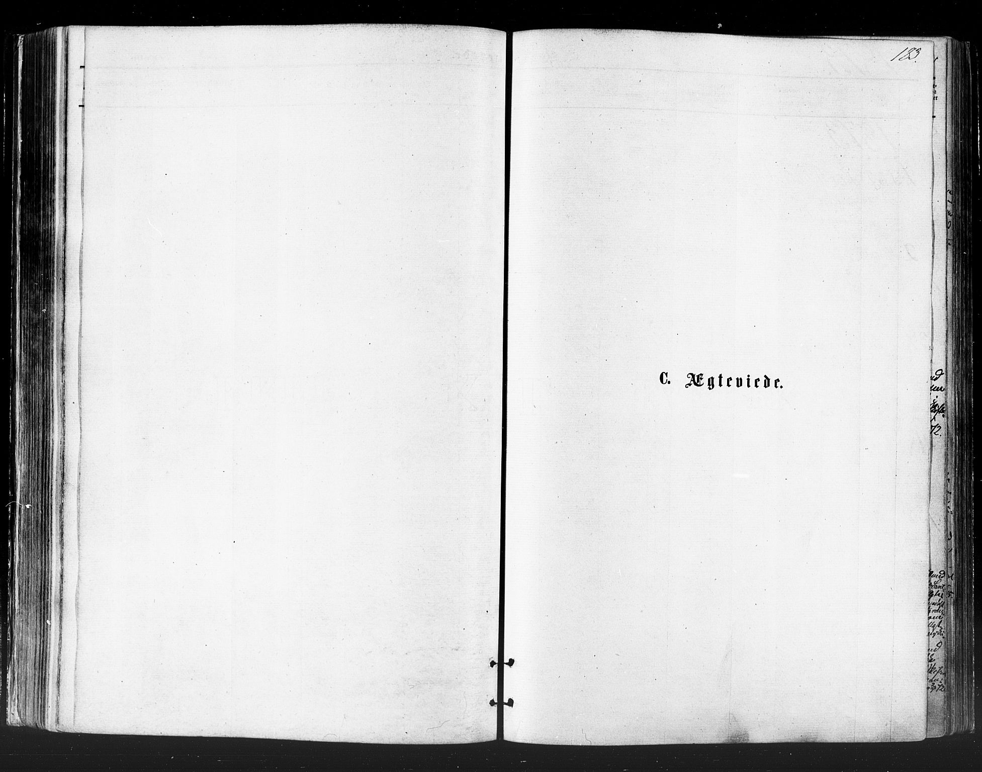 Vadsø sokneprestkontor, SATØ/S-1325/H/Ha/L0005kirke: Parish register (official) no. 5, 1873-1884, p. 183