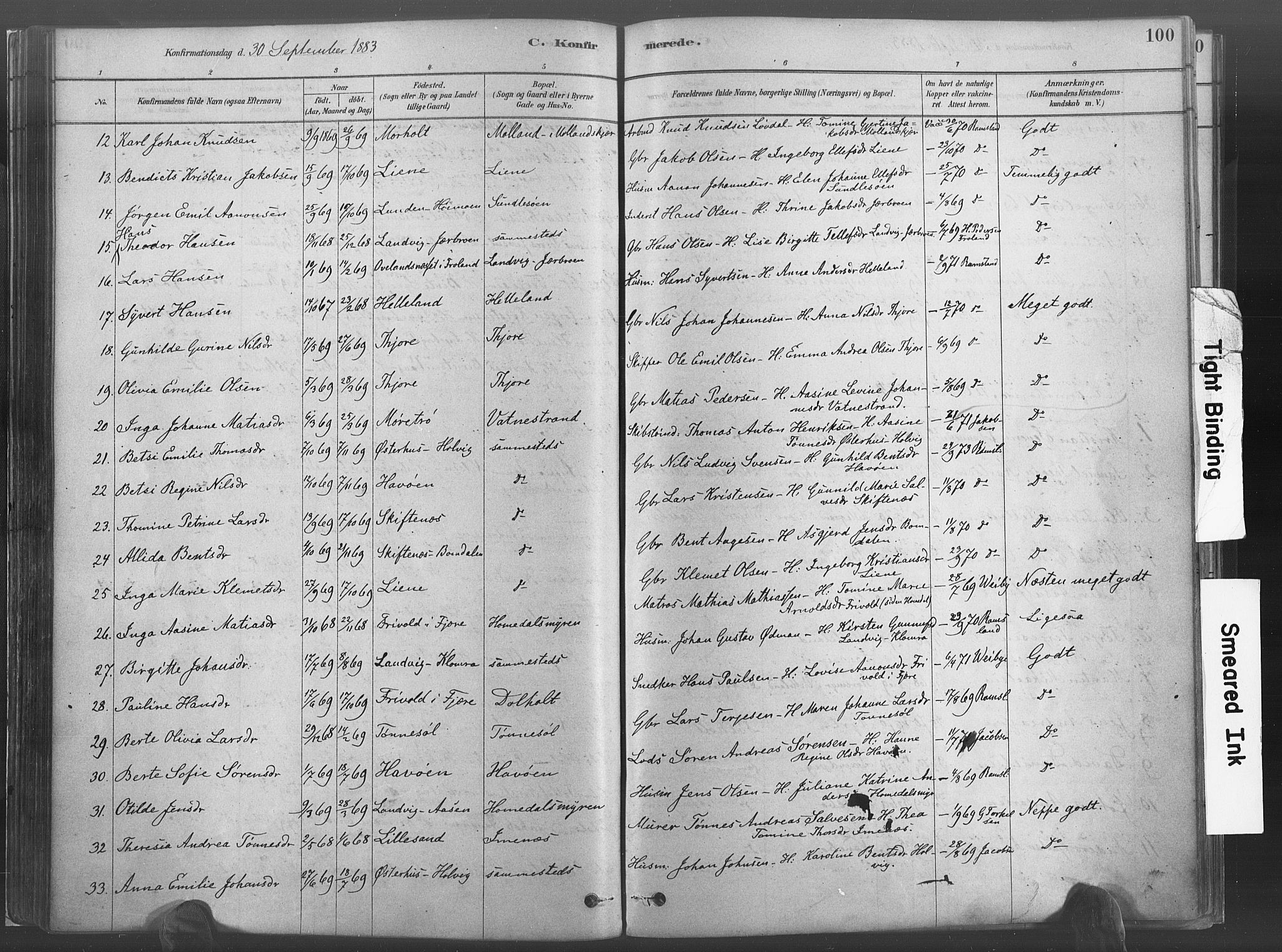 Hommedal sokneprestkontor, SAK/1111-0023/F/Fa/Fab/L0006: Parish register (official) no. A 6, 1878-1897, p. 100