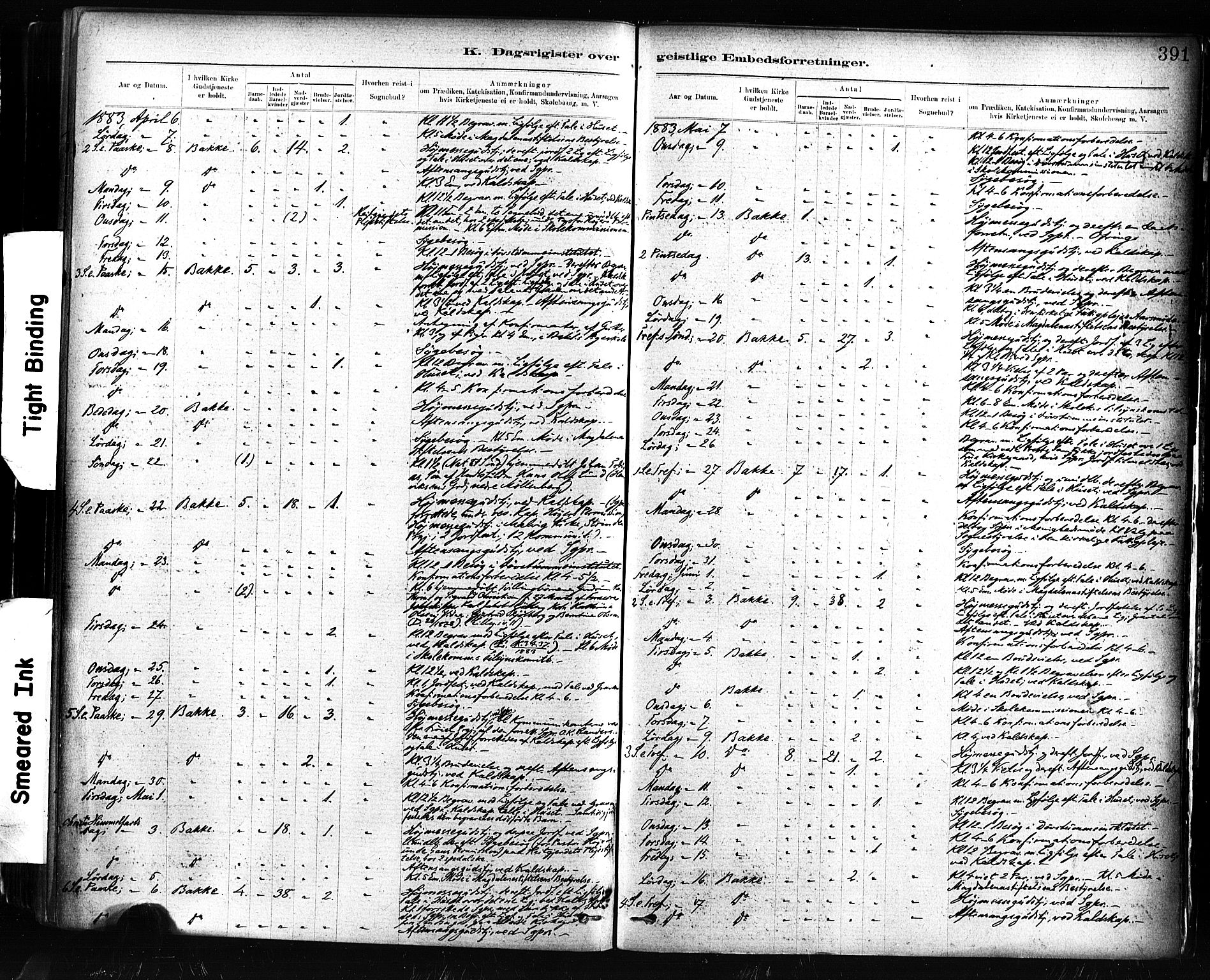 Ministerialprotokoller, klokkerbøker og fødselsregistre - Sør-Trøndelag, AV/SAT-A-1456/604/L0189: Parish register (official) no. 604A10, 1878-1892, p. 391