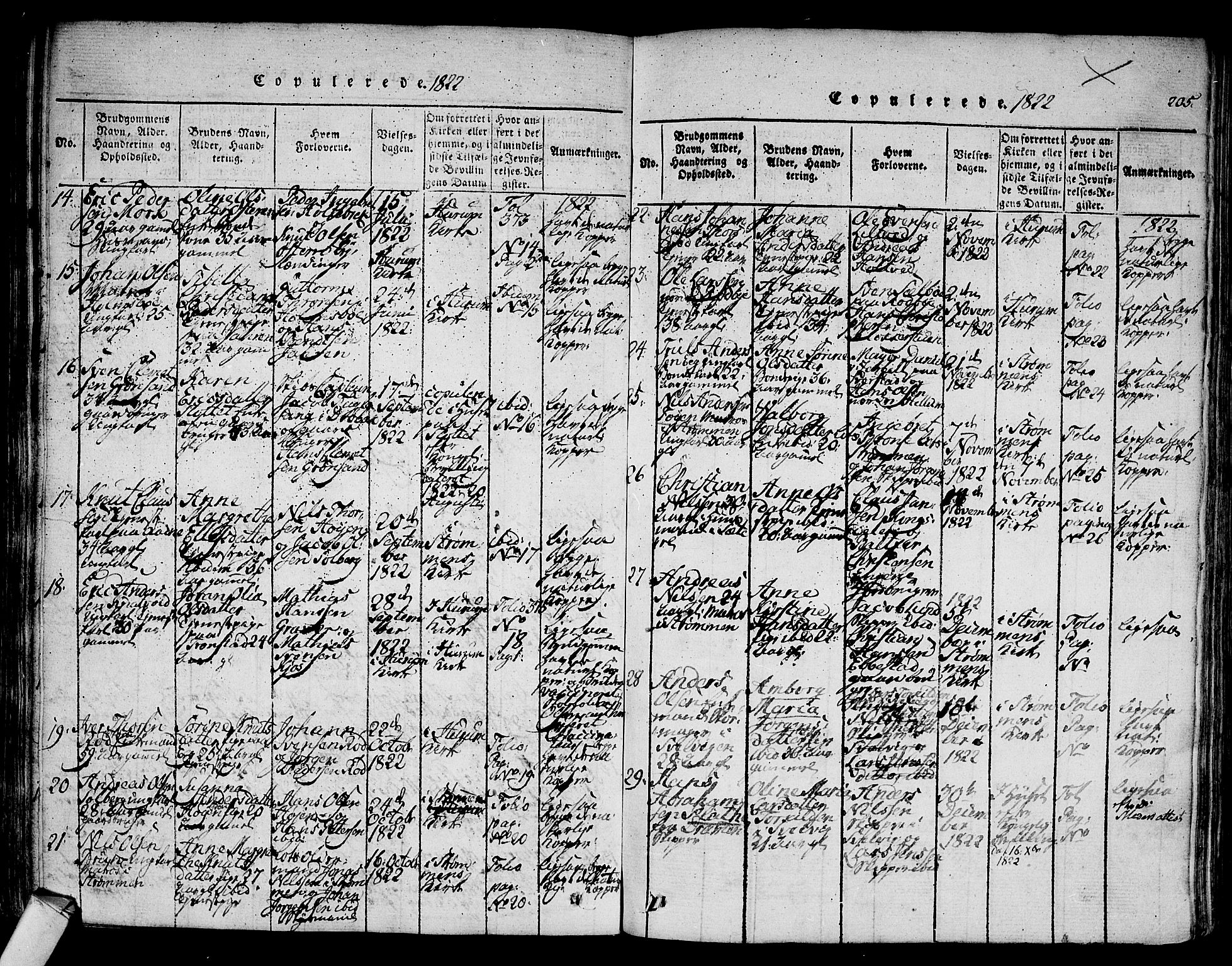 Hurum kirkebøker, SAKO/A-229/F/Fa/L0009: Parish register (official) no. 9, 1816-1826, p. 205