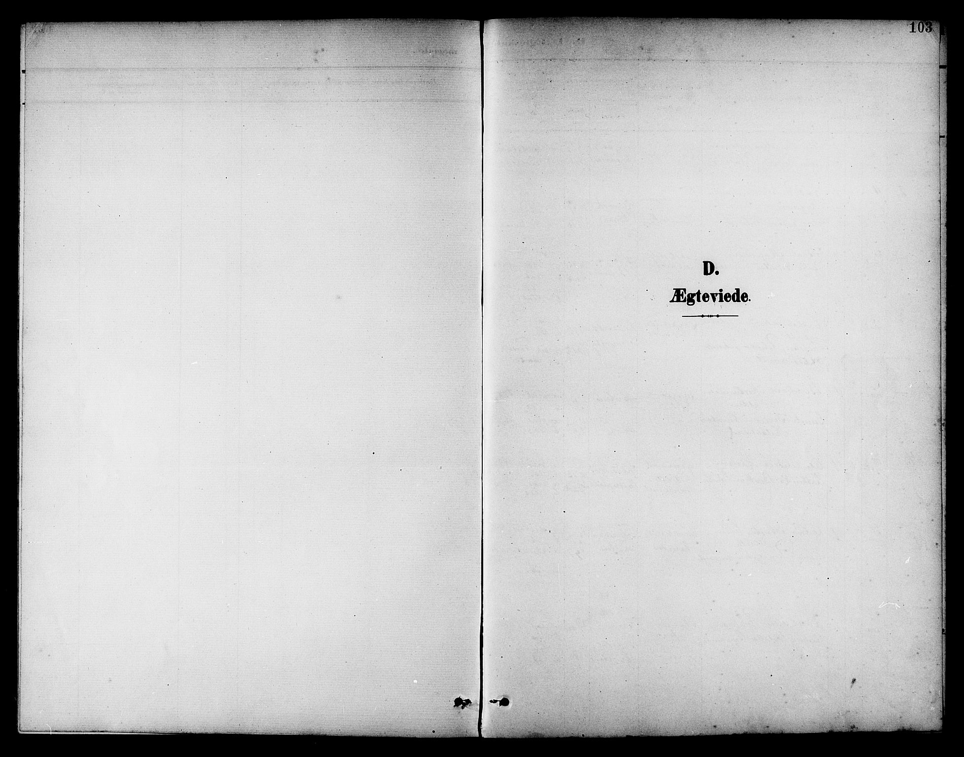 Ministerialprotokoller, klokkerbøker og fødselsregistre - Nord-Trøndelag, SAT/A-1458/742/L0412: Parish register (copy) no. 742C03, 1898-1910, p. 103