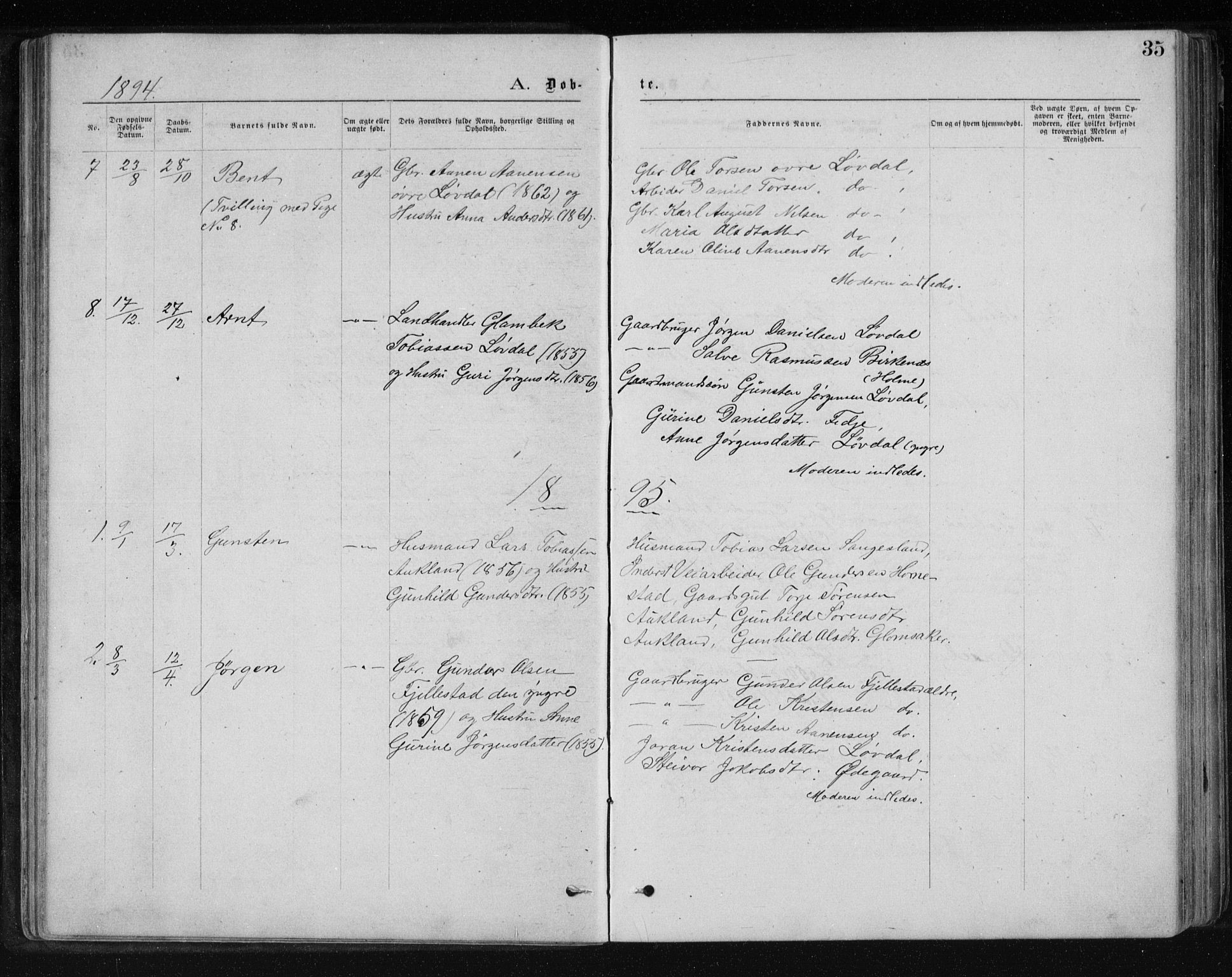 Holum sokneprestkontor, AV/SAK-1111-0022/F/Fb/Fbb/L0003: Parish register (copy) no. B 3, 1875-1898, p. 35