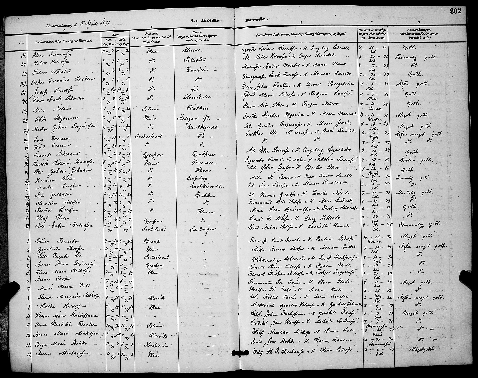 Skien kirkebøker, AV/SAKO-A-302/G/Ga/L0007: Parish register (copy) no. 7, 1891-1900, p. 202