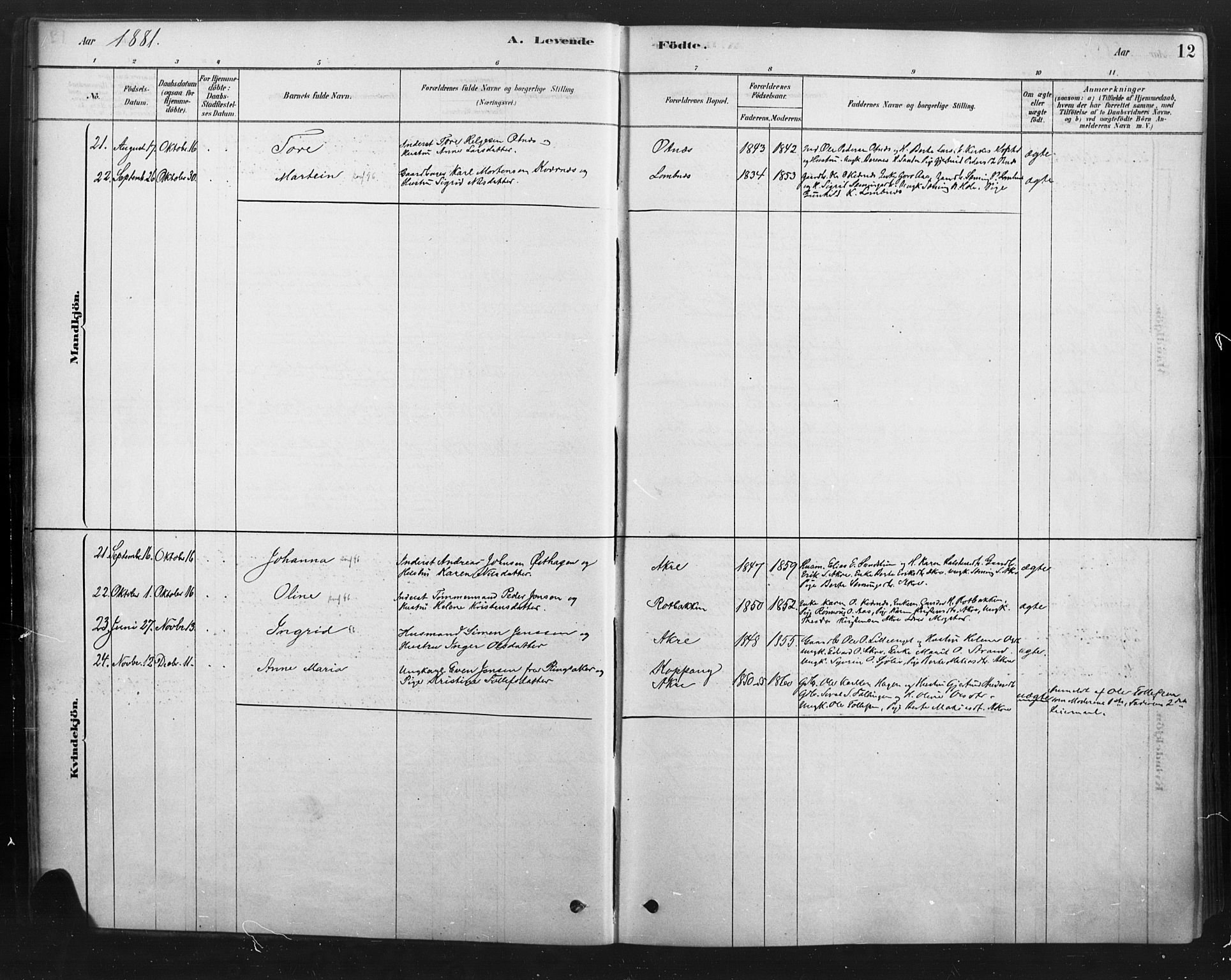 Rendalen prestekontor, AV/SAH-PREST-054/H/Ha/Haa/L0010: Parish register (official) no. 10, 1878-1901, p. 12