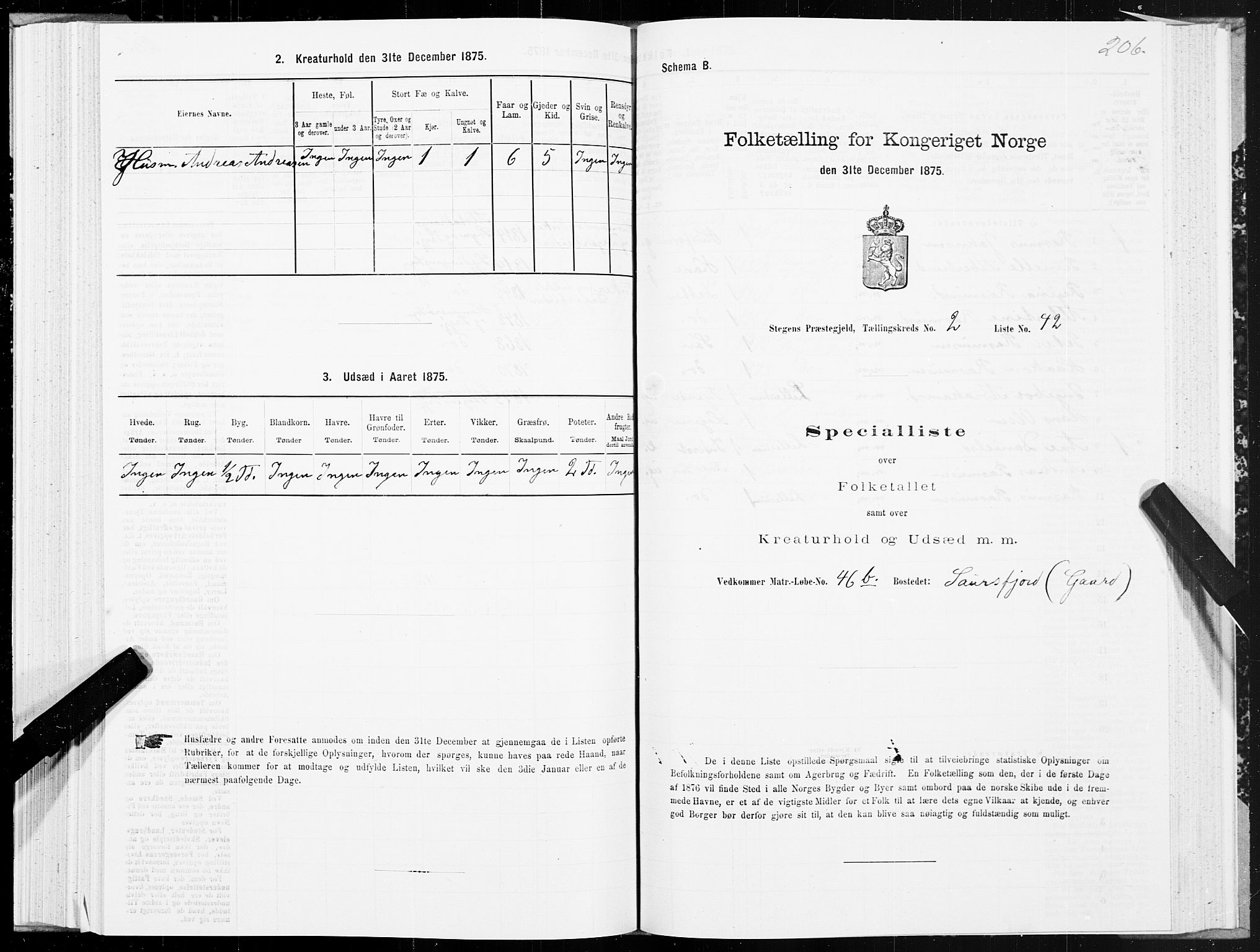 SAT, 1875 census for 1848P Steigen, 1875, p. 1206