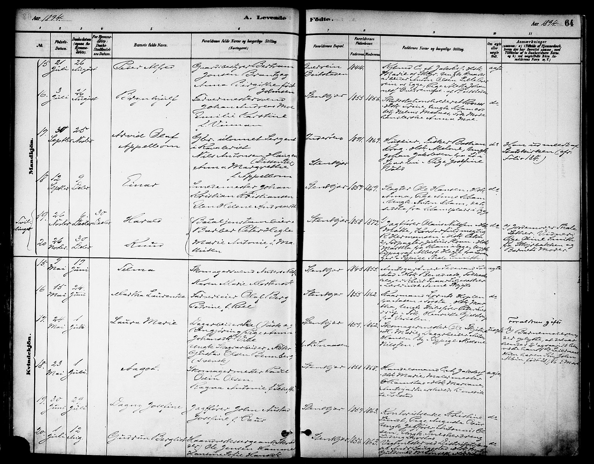 Ministerialprotokoller, klokkerbøker og fødselsregistre - Nord-Trøndelag, AV/SAT-A-1458/739/L0371: Parish register (official) no. 739A03, 1881-1895, p. 64