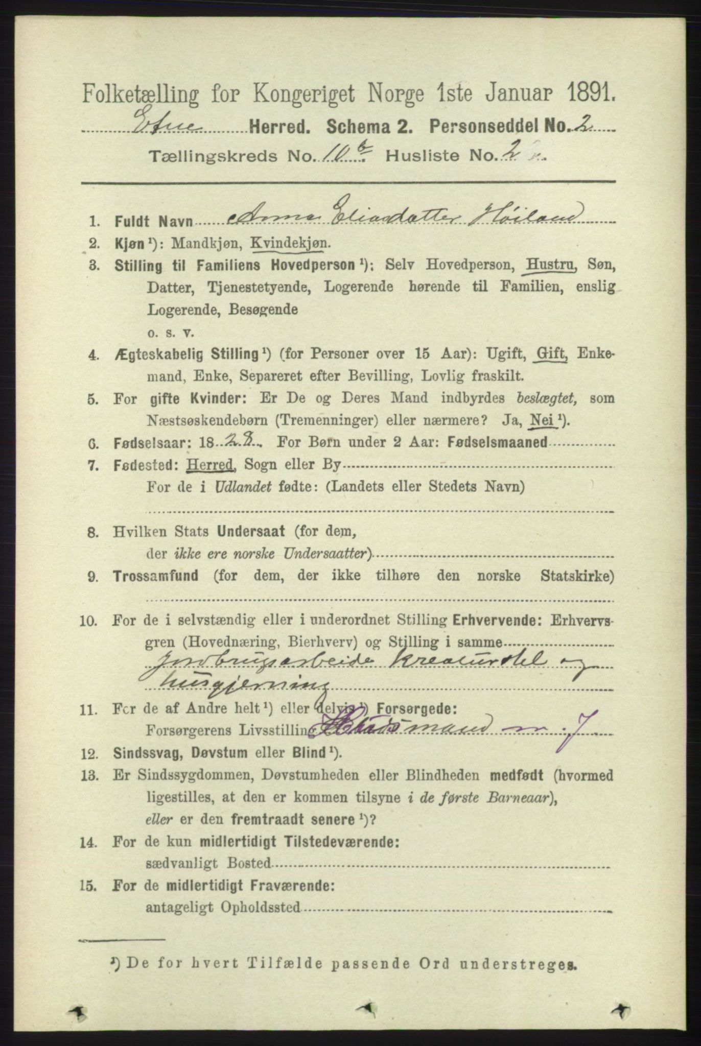 RA, 1891 census for 1211 Etne, 1891, p. 2009