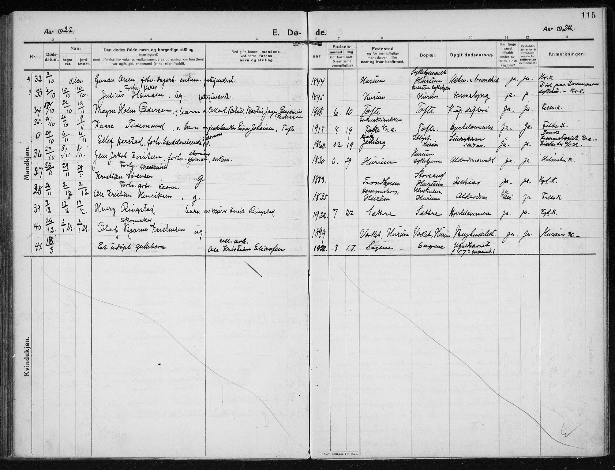 Hurum kirkebøker, AV/SAKO-A-229/F/Fa/L0017: Parish register (official) no. 17, 1910-1925, p. 115