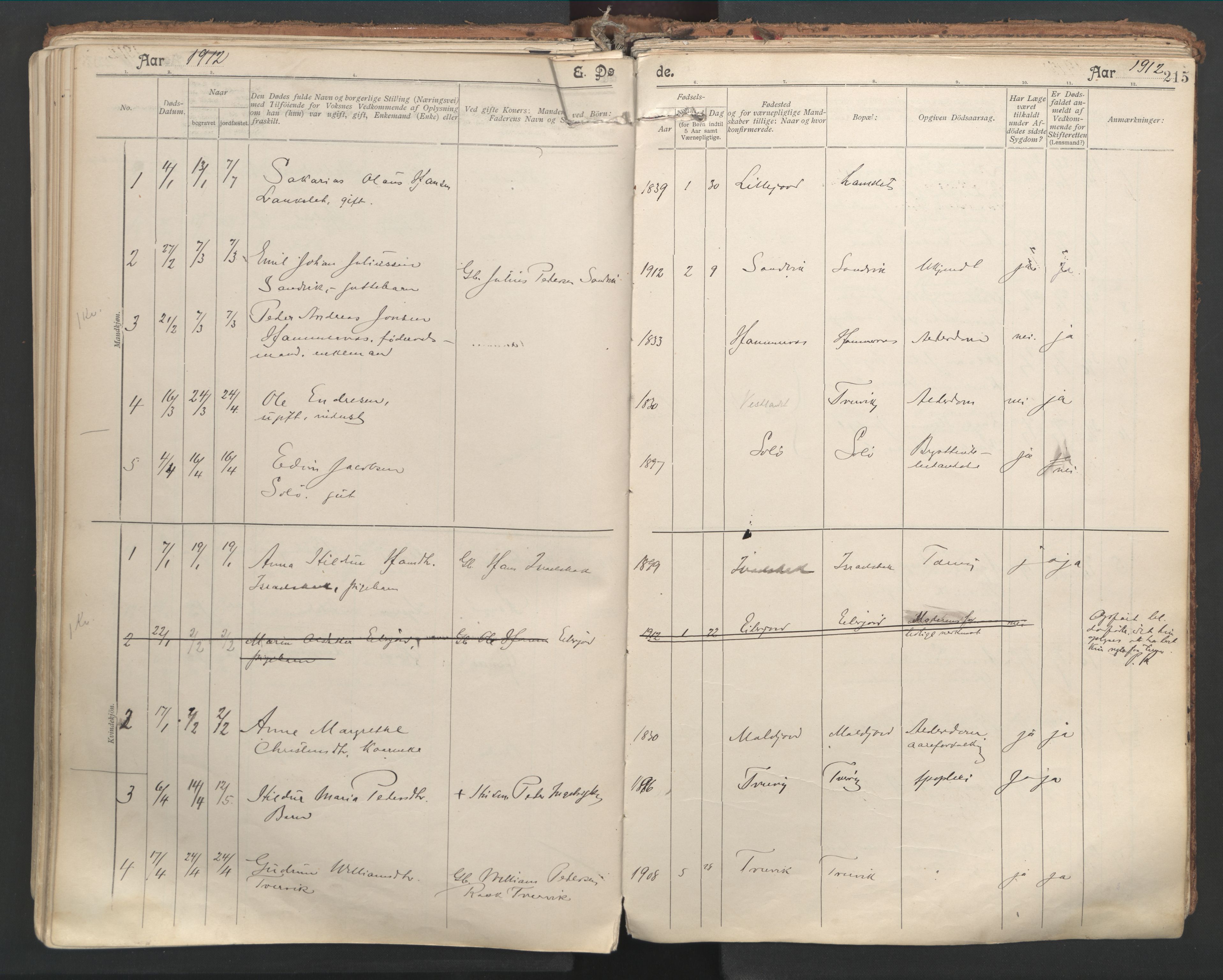 Ministerialprotokoller, klokkerbøker og fødselsregistre - Nordland, SAT/A-1459/846/L0647: Parish register (official) no. 846A05, 1902-1915, p. 215