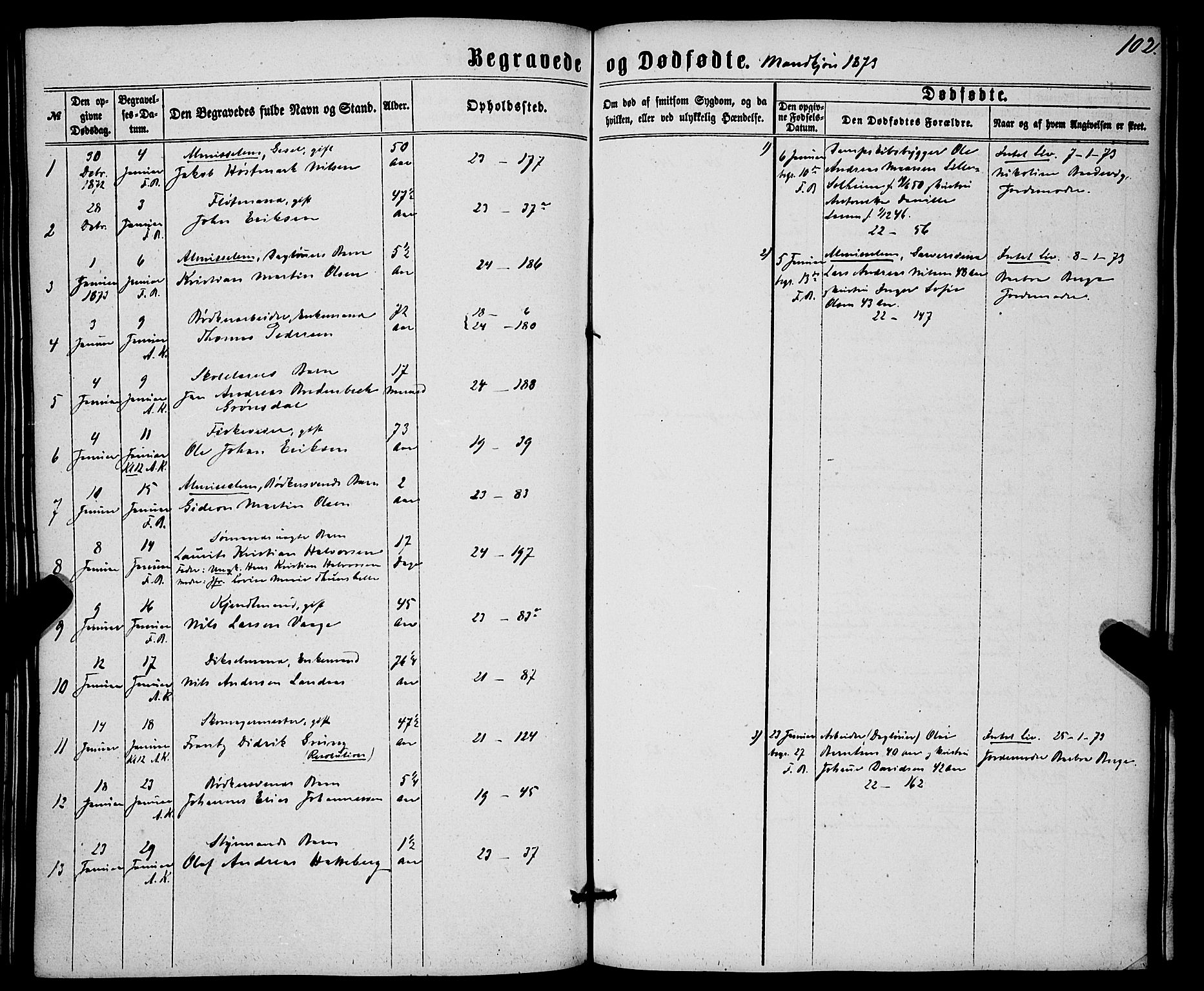 Korskirken sokneprestembete, SAB/A-76101/H/Haa/L0045: Parish register (official) no. E 3, 1863-1875, p. 102