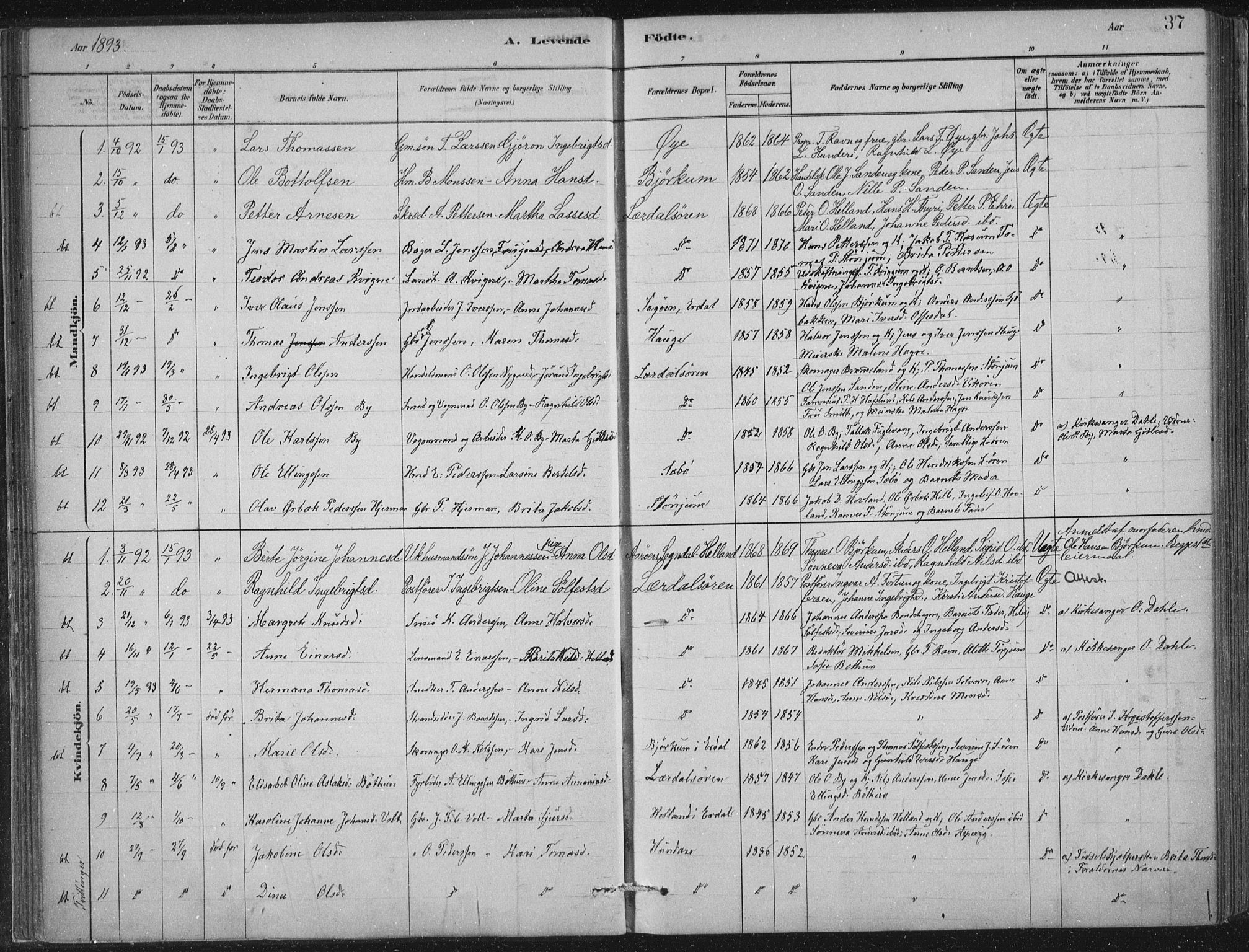 Lærdal sokneprestembete, AV/SAB-A-81201: Parish register (official) no. D  1, 1878-1908, p. 37