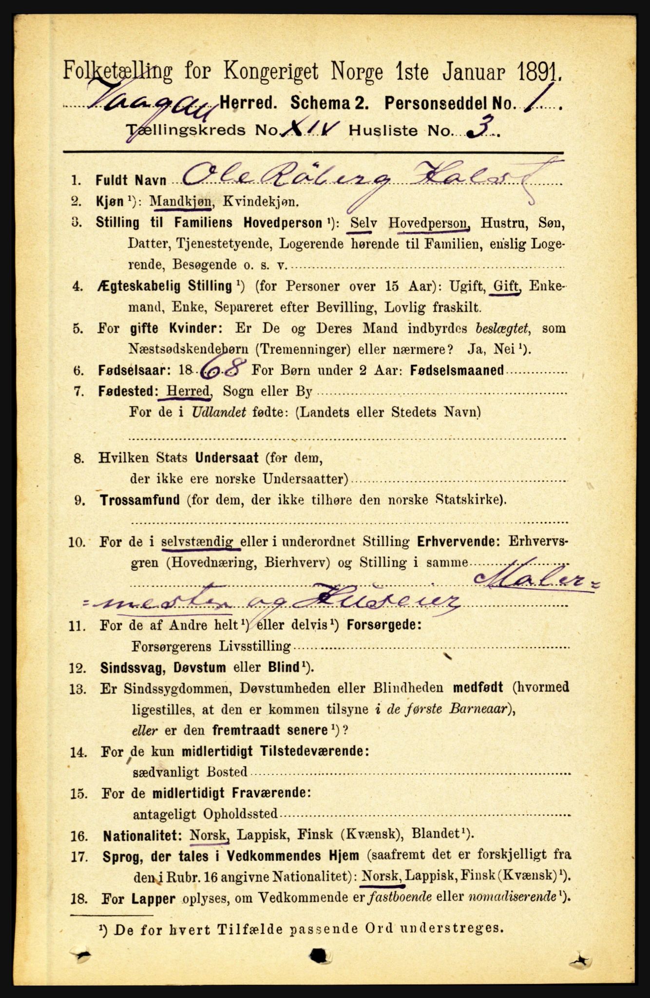 RA, 1891 census for 1865 Vågan, 1891, p. 3667