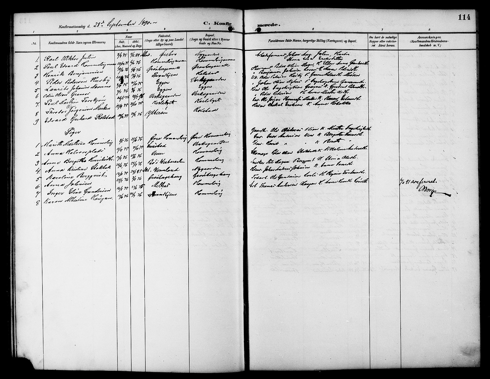 Ministerialprotokoller, klokkerbøker og fødselsregistre - Sør-Trøndelag, AV/SAT-A-1456/617/L0431: Parish register (copy) no. 617C01, 1889-1910, p. 114