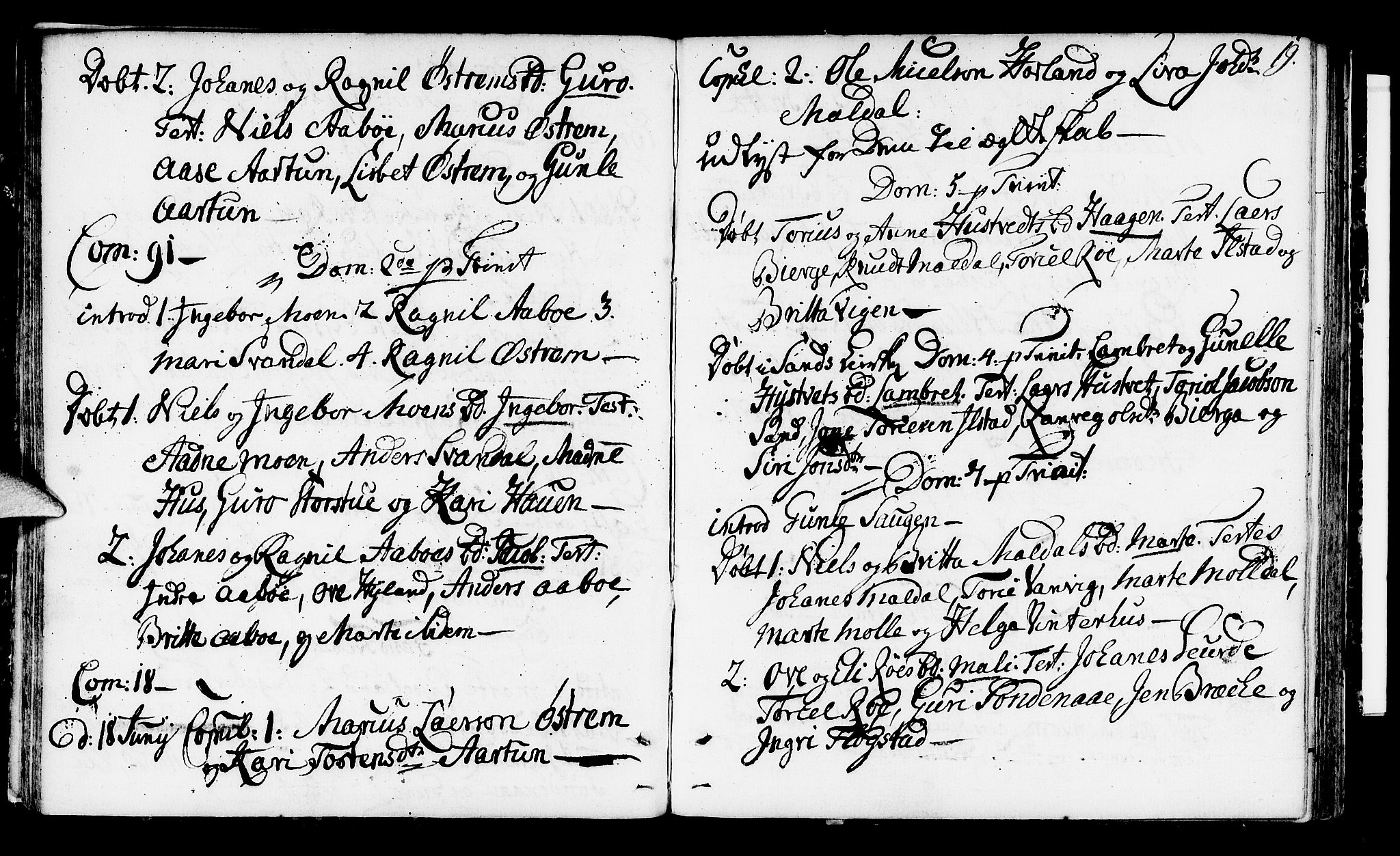 Suldal sokneprestkontor, AV/SAST-A-101845/01/IV/L0002: Parish register (official) no. A 2, 1780-1808, p. 19