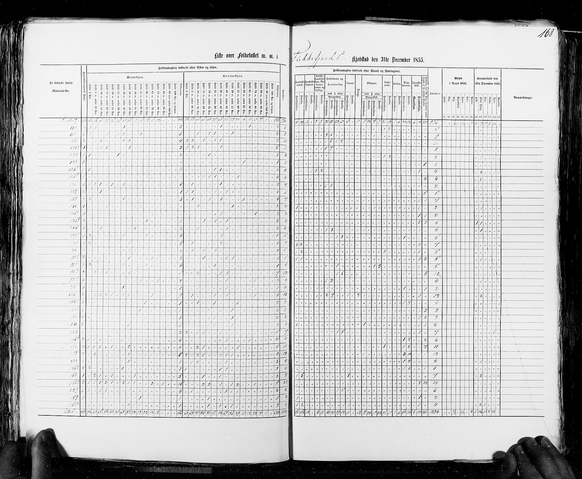 RA, Census 1855, vol. 8: Risør-Vadsø, 1855, p. 168