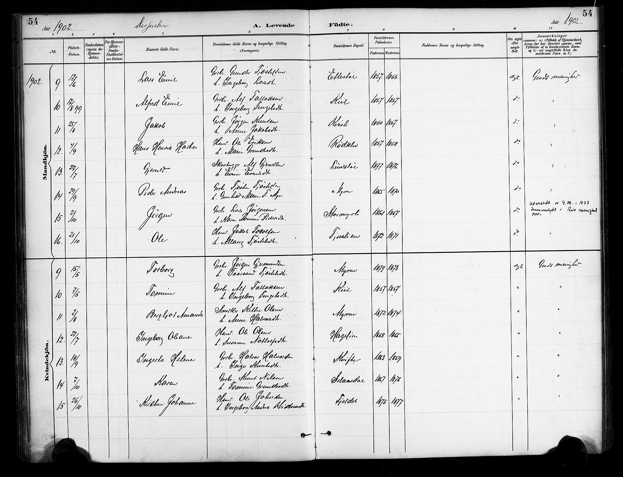 Gjerstad sokneprestkontor, AV/SAK-1111-0014/F/Fa/Fab/L0005: Parish register (official) no. A 5, 1891-1908, p. 54