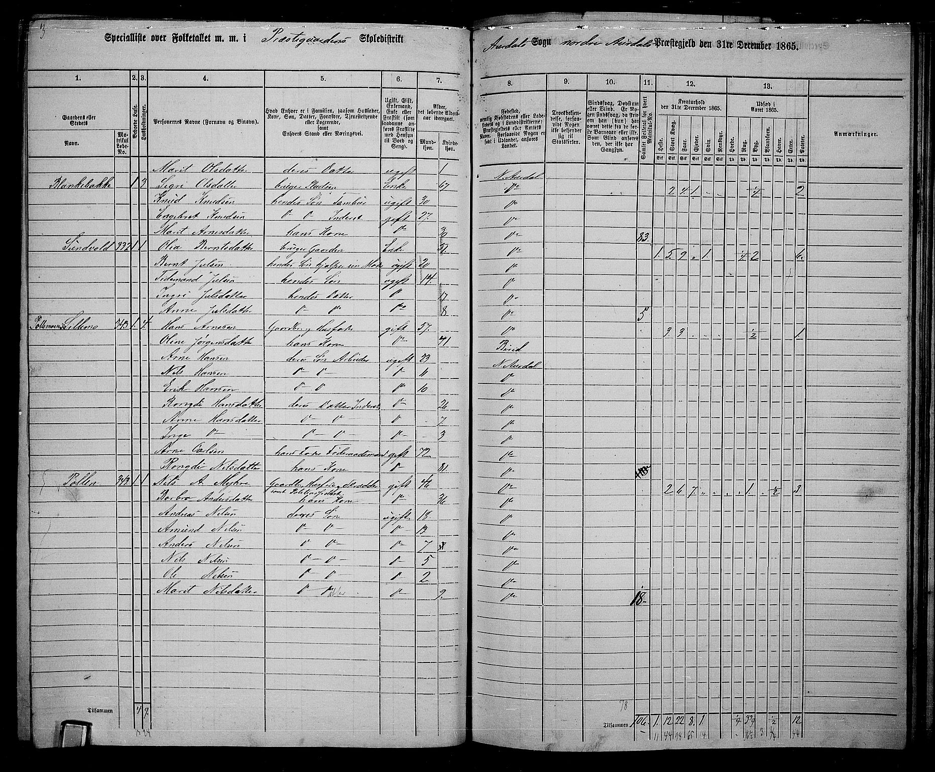 RA, 1865 census for Nord-Aurdal, 1865, p. 192