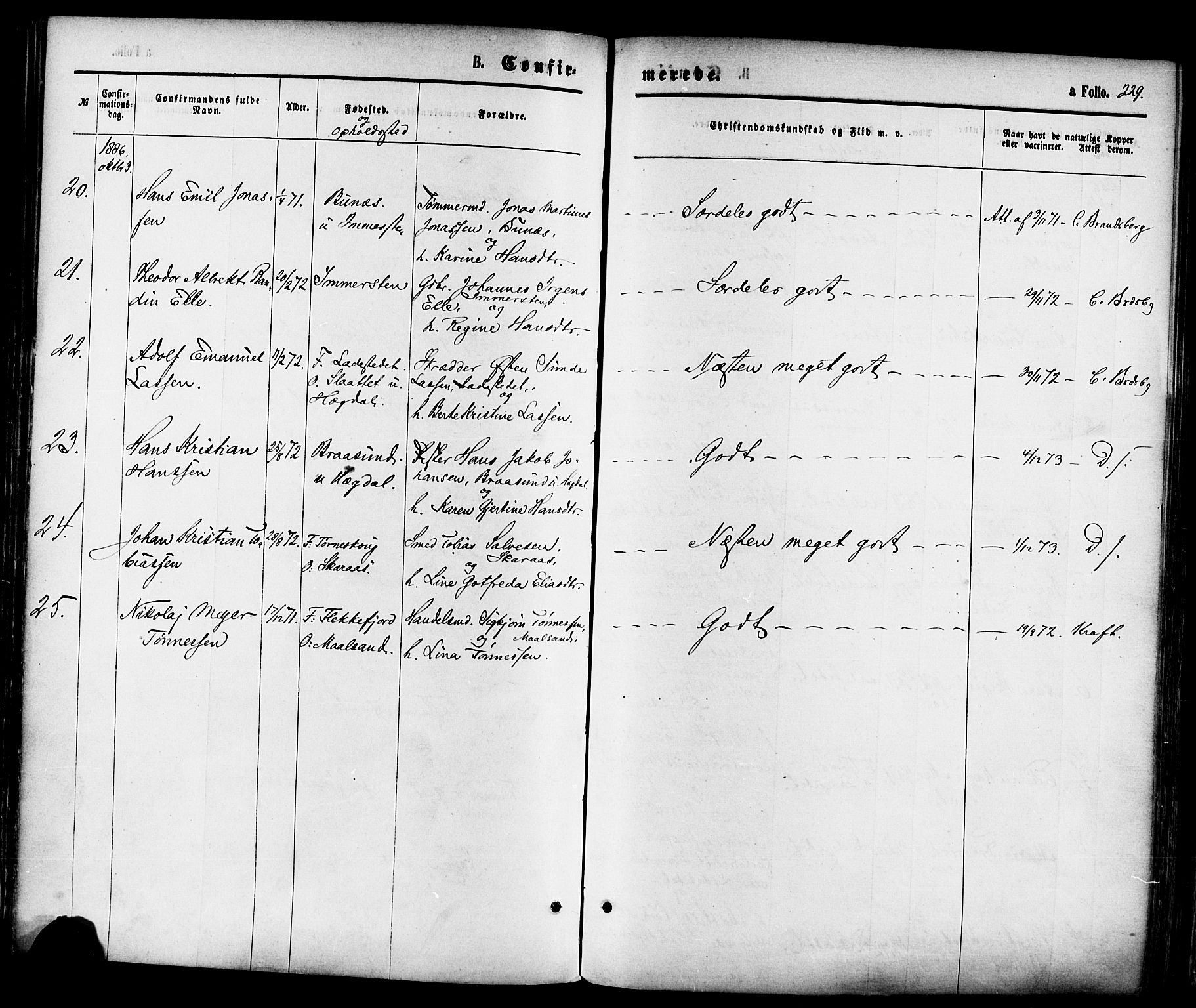 Sokndal sokneprestkontor, AV/SAST-A-101808: Parish register (official) no. A 10, 1874-1886, p. 229