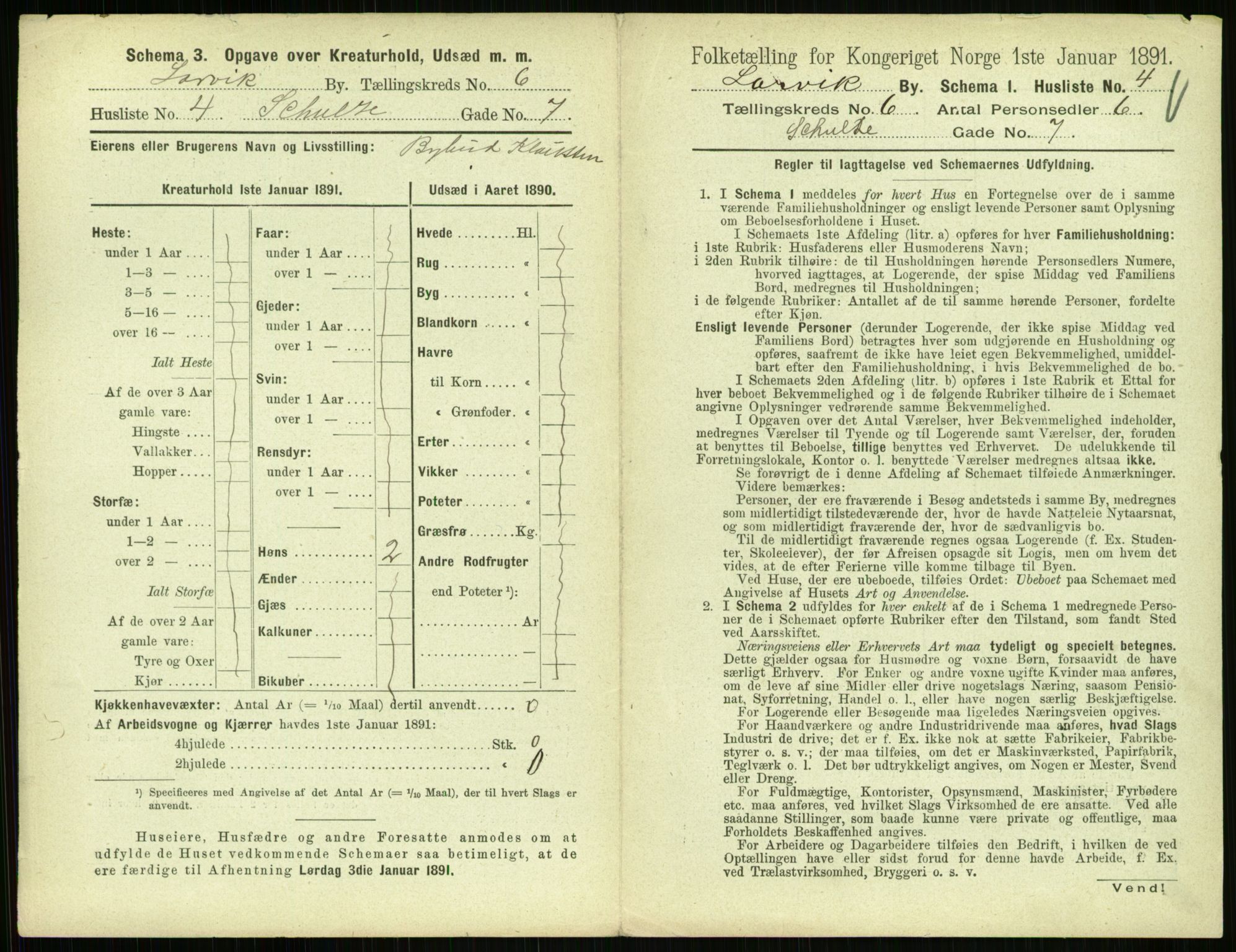 RA, 1891 census for 0707 Larvik, 1891, p. 813