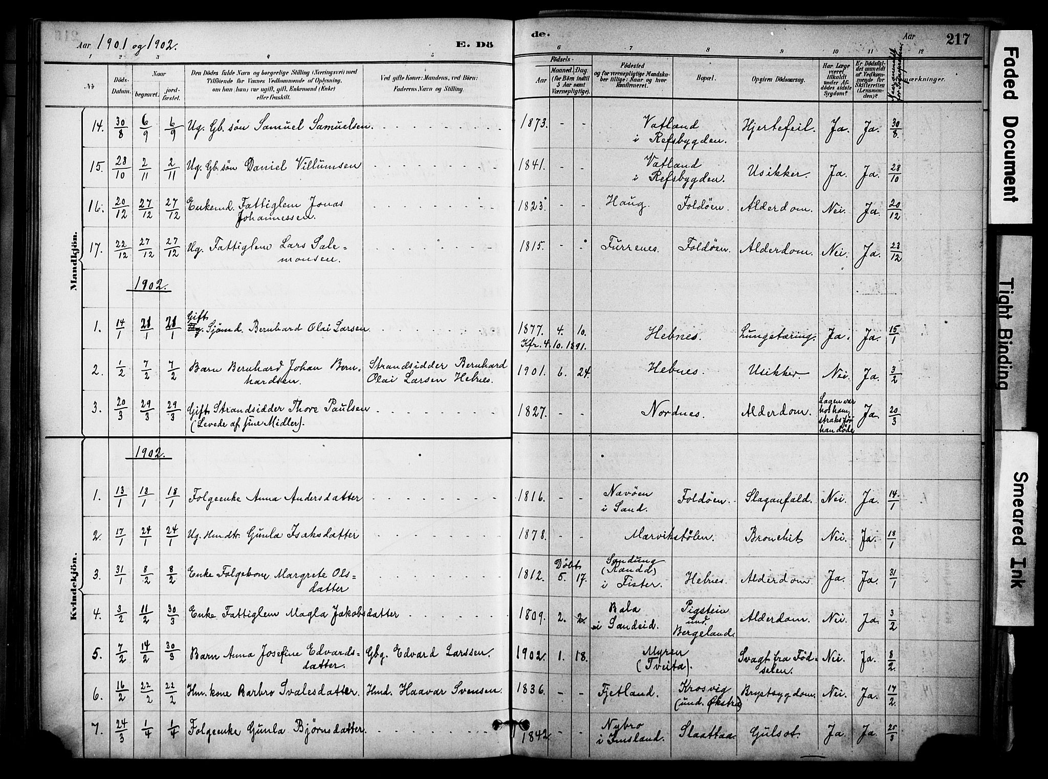 Jelsa sokneprestkontor, SAST/A-101842/01/IV: Parish register (official) no. A 10, 1884-1906, p. 217