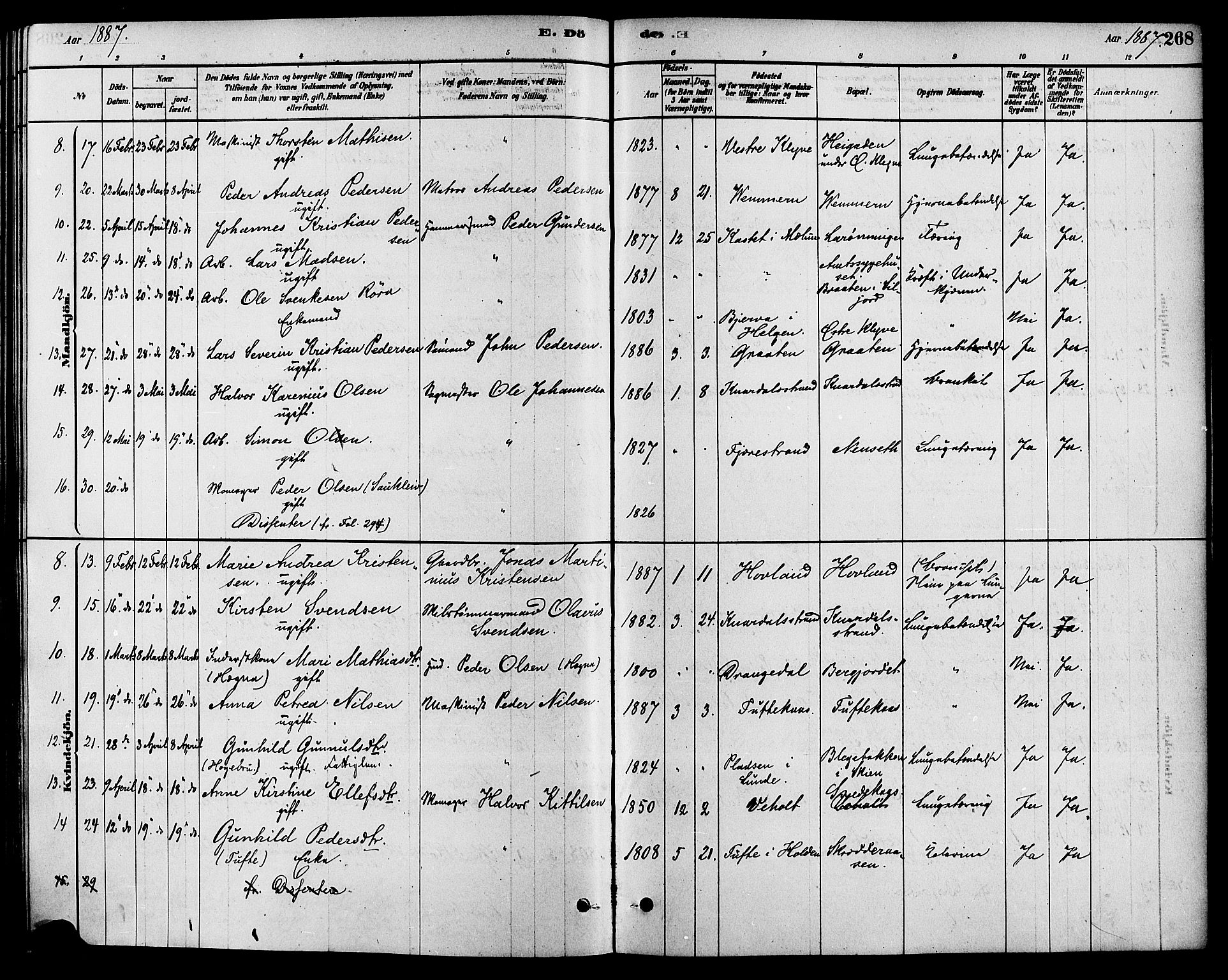 Solum kirkebøker, SAKO/A-306/F/Fa/L0009: Parish register (official) no. I 9, 1877-1887, p. 268
