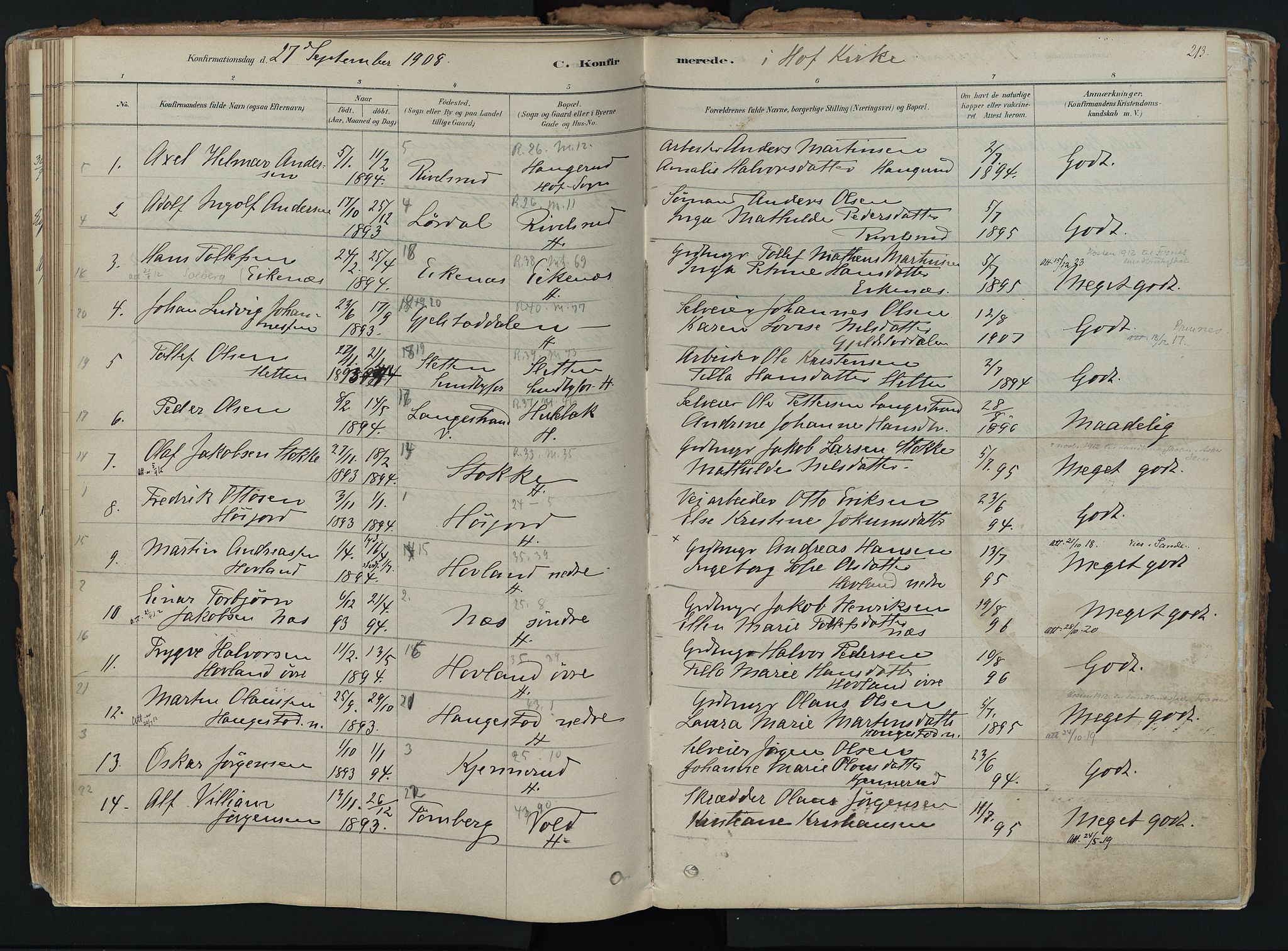 Hof kirkebøker, AV/SAKO-A-64/F/Fa/L0007: Parish register (official) no. I 7, 1878-1940, p. 213