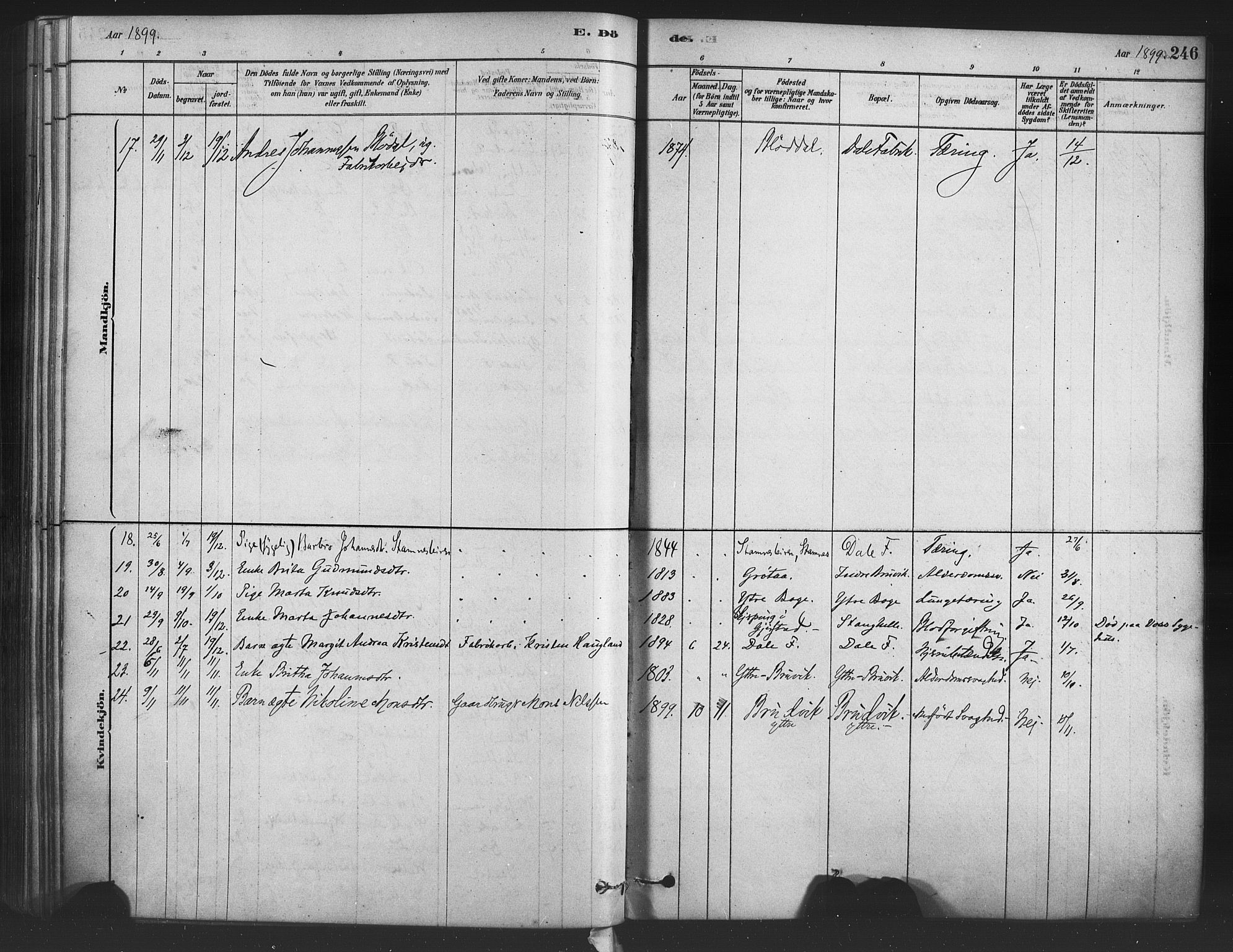 Bruvik Sokneprestembete, AV/SAB-A-74701/H/Haa: Parish register (official) no. B 1, 1878-1904, p. 246