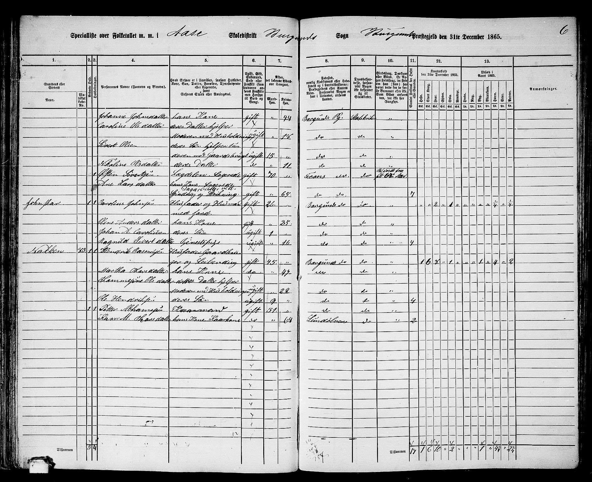 RA, 1865 census for Borgund, 1865, p. 53